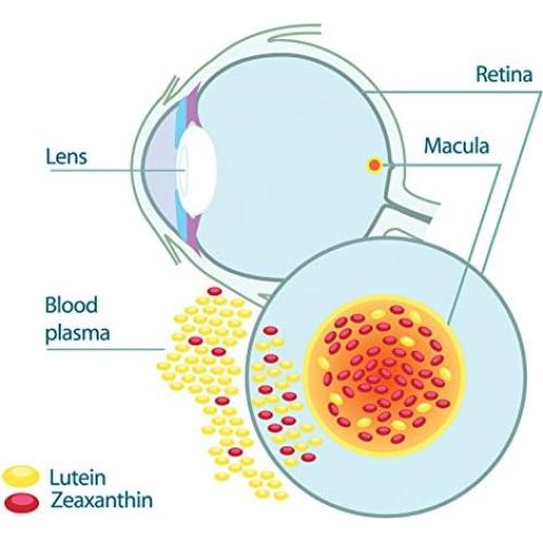 Suplemento EyePromise Restore - 60 Cápsulas para Salud Ocular