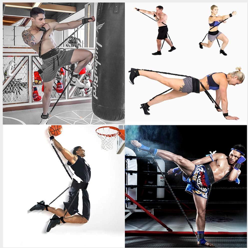 Conjunto de bandas de resistencia YNXing 250 lb para boxeo y fitness