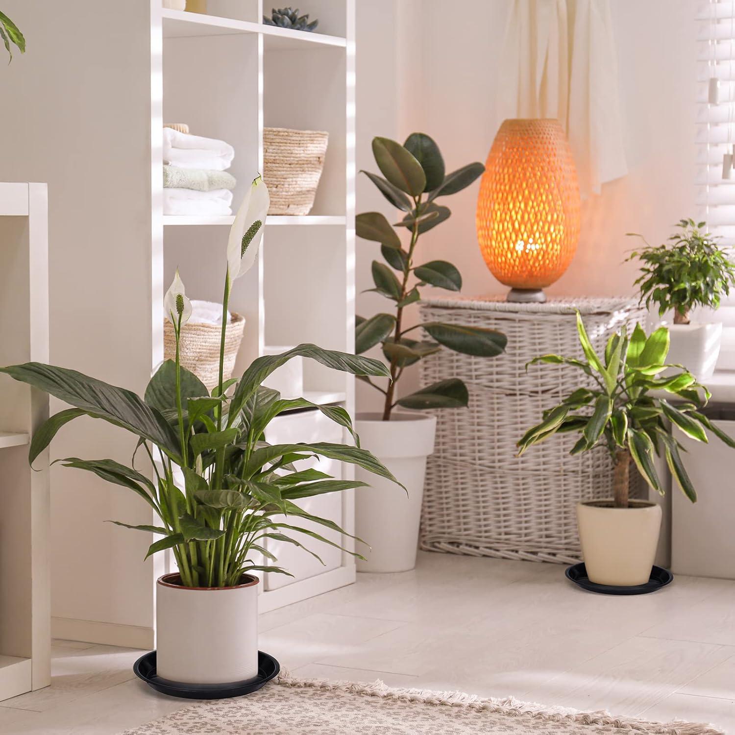 Paquete de 30 platos de plástico para plantas 25.4 cm Sawysine