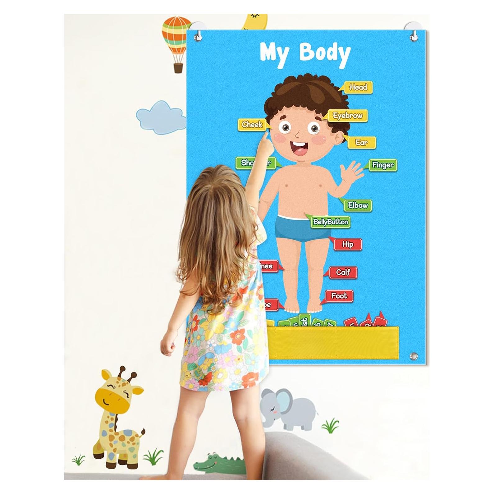 Tablero de Fieltro del Cuerpo Humano AKAYOK 36 Piezas