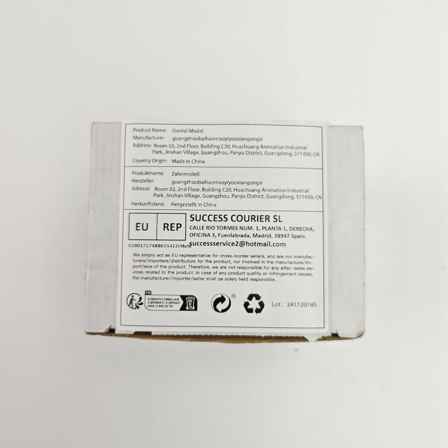 Typodont Dental Ultrassist 28 Dientes Desmontables para Estudiantes