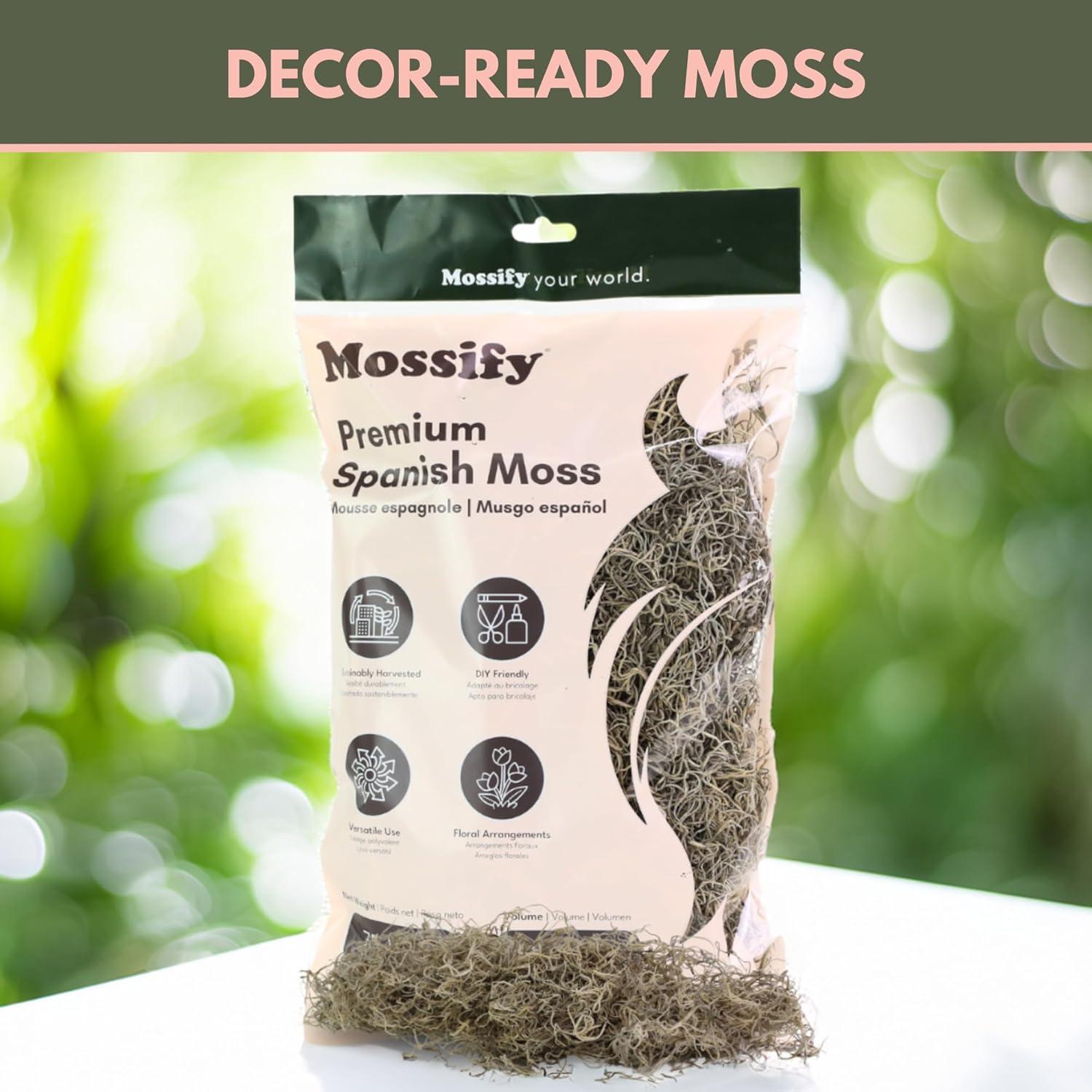 Musgo Español Natural Mossify 75g para Jardinería y Manualidades
