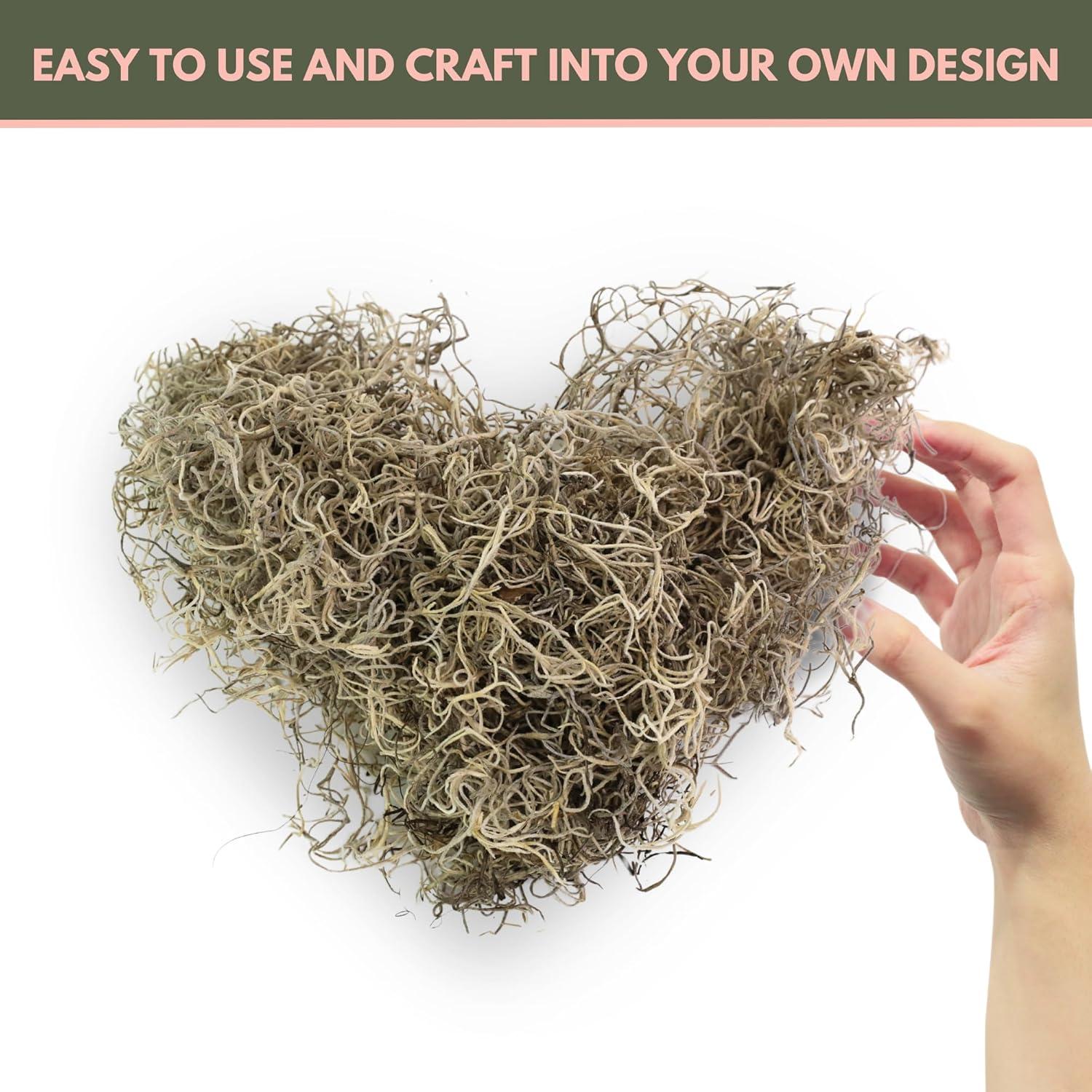 Musgo Español Natural Mossify 75g para Jardinería y Manualidades