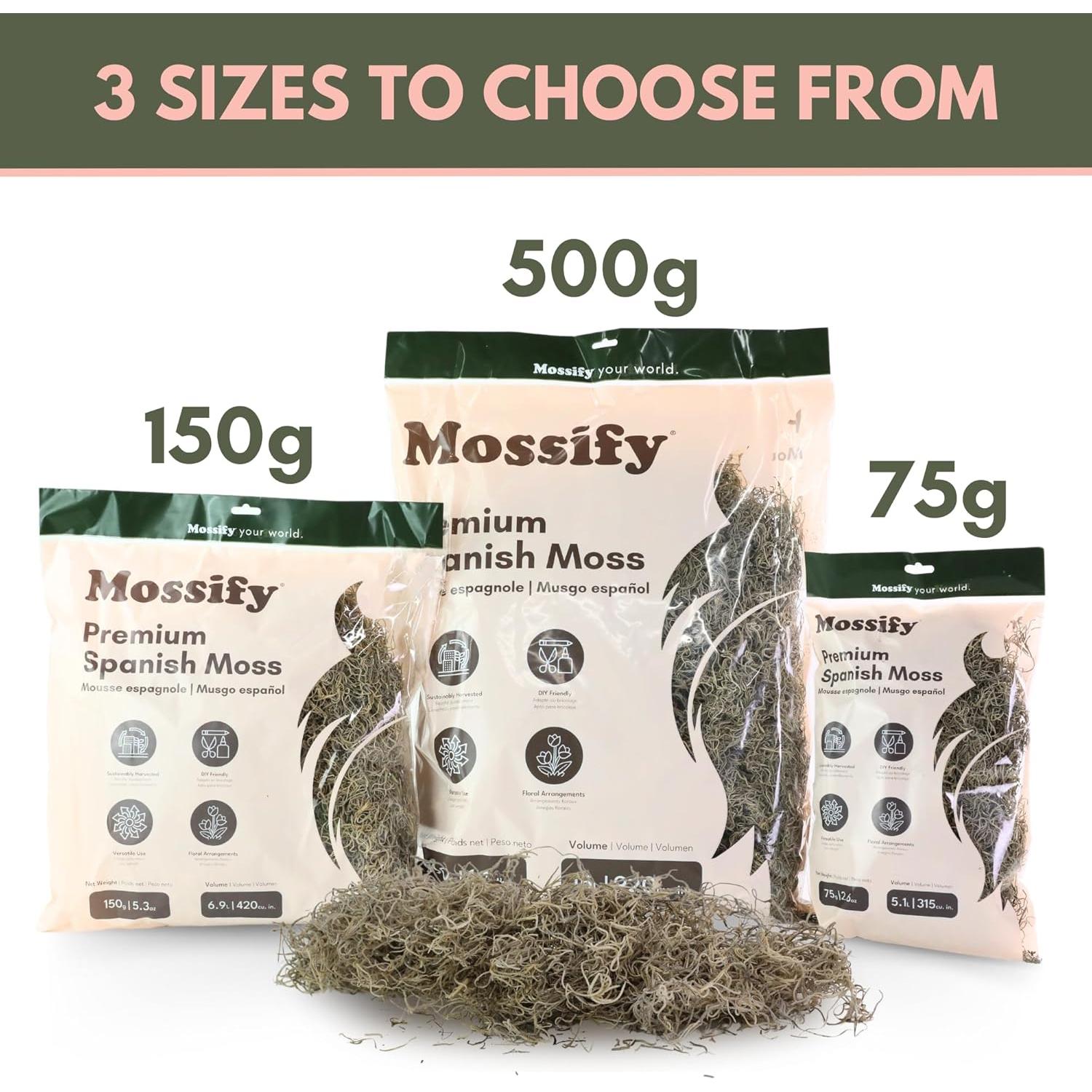 Musgo Español Natural Mossify 75g para Jardinería y Manualidades