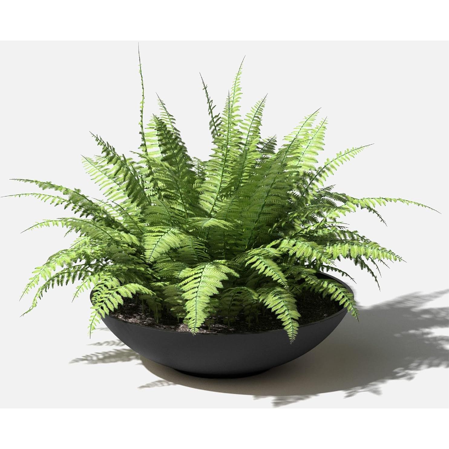 Maceta Veradek Lane Bowl 61 cm Redonda Negra para Exterior