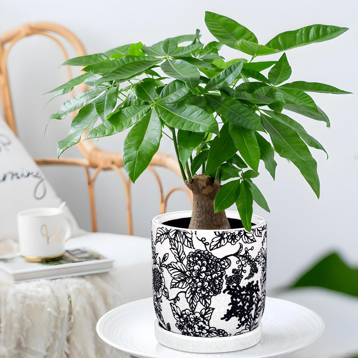 Maceta de Cerámica Vintage Villa Como 22.86 cm Verde y Blanco