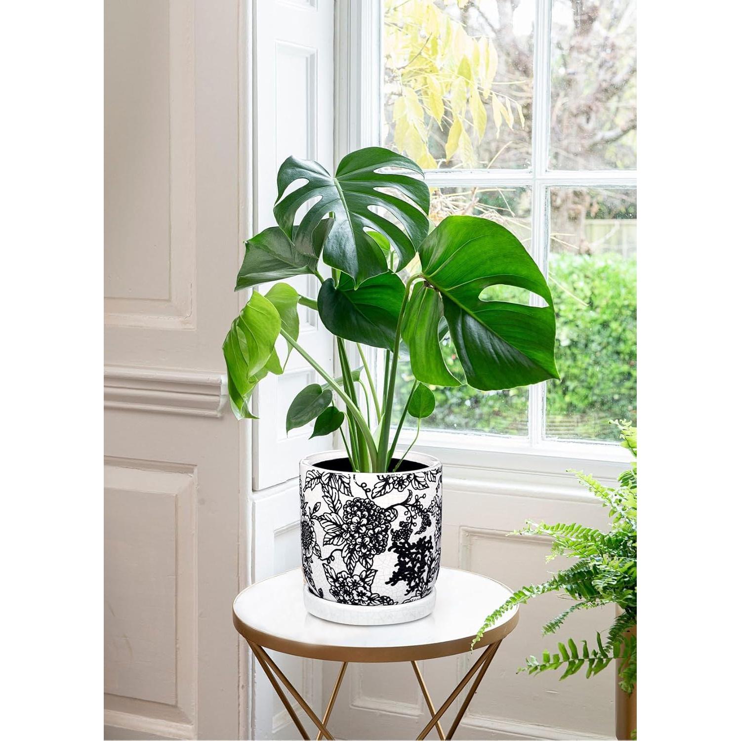 Maceta de Cerámica Vintage Villa Como 22.86 cm Verde y Blanco