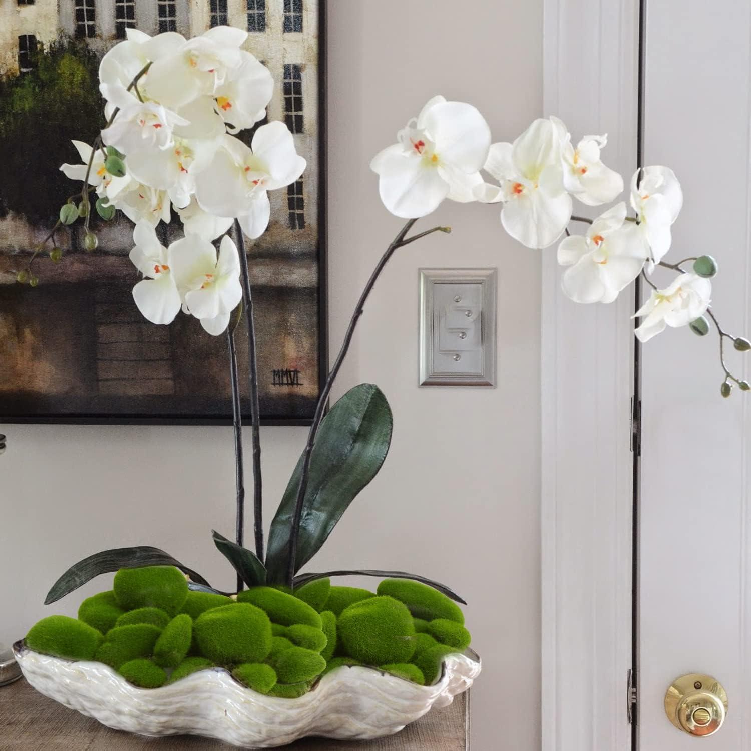 Rocas de Musgo Artificial CCINEE 34pcs 5 Tamaños Decoración