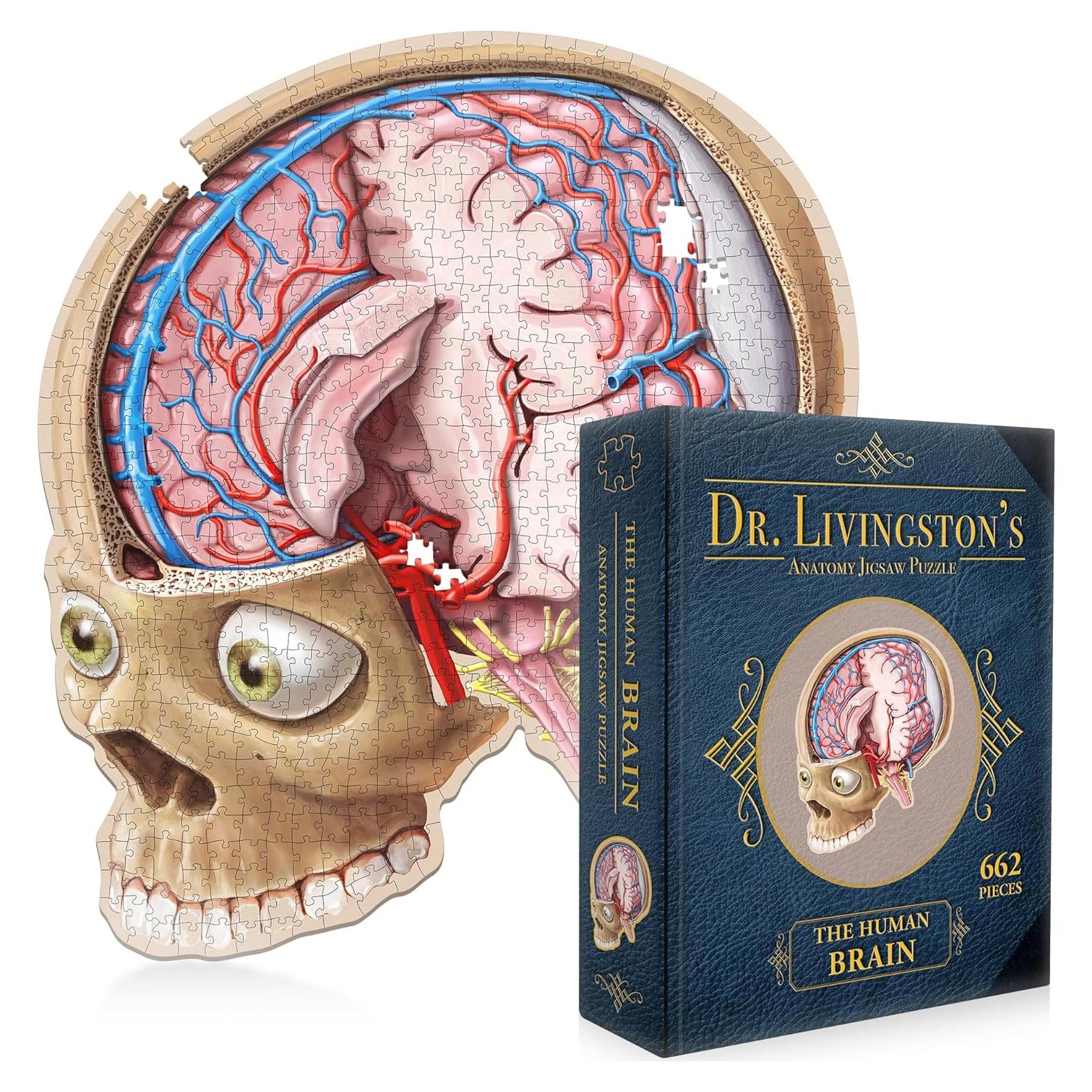 Rompecabezas de Anatomía del Cerebro Humano Genius Games - 27.18x21.59 cm