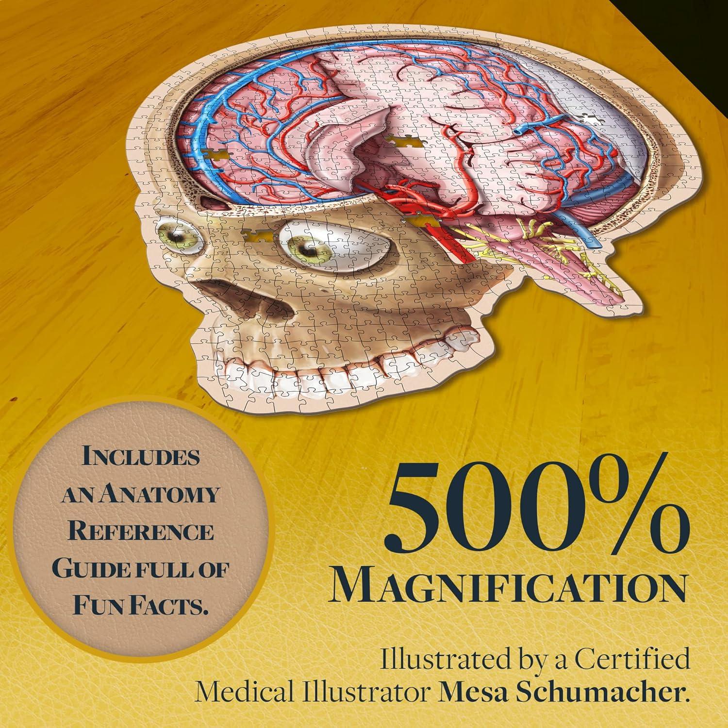 Rompecabezas de Anatomía del Cerebro Humano Genius Games - 27.18x21.59 cm