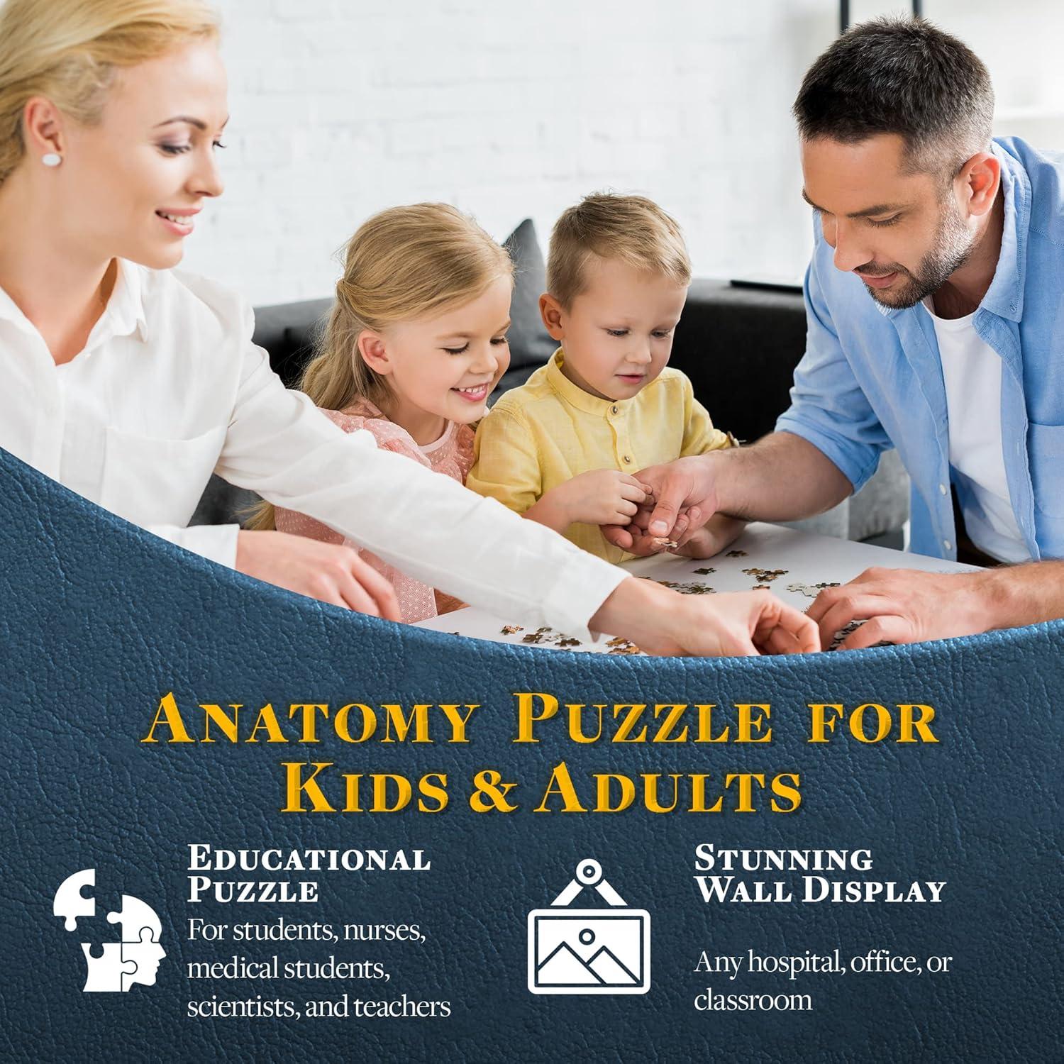 Rompecabezas de Anatomía del Cerebro Humano Genius Games - 27.18x21.59 cm