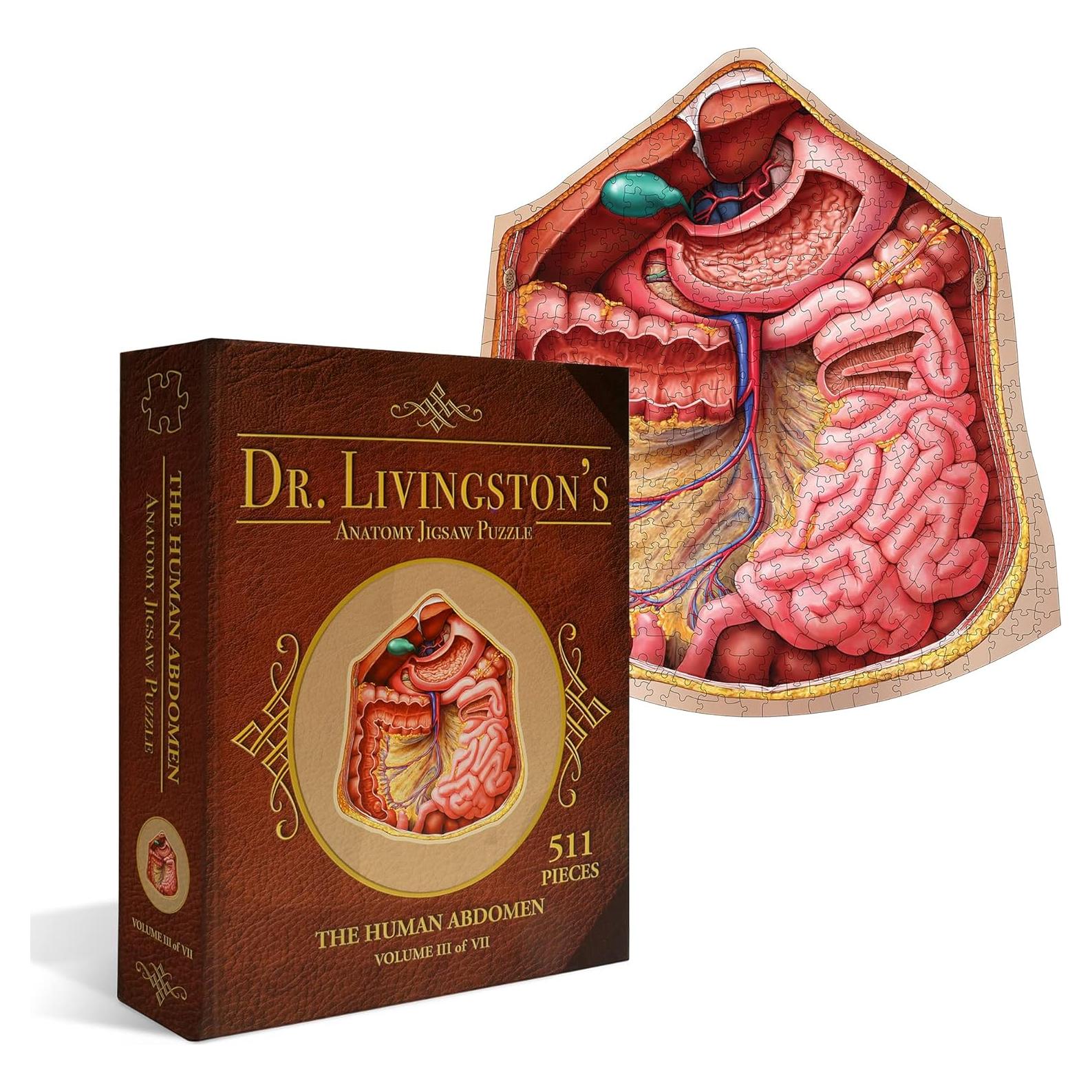 Rompecabezas de Anatomía del Abdomen Humano Genius Games