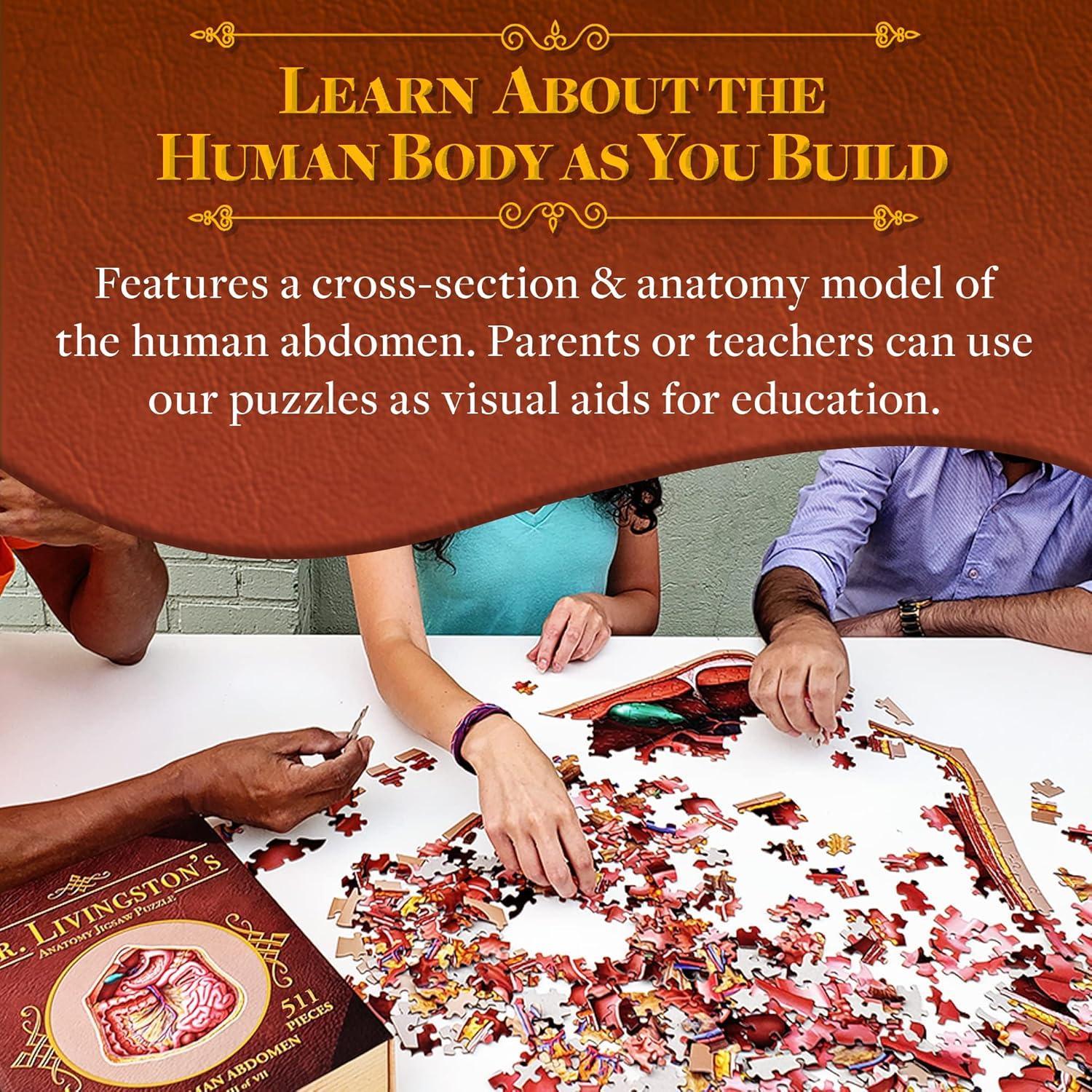 Rompecabezas de Anatomía del Abdomen Humano Genius Games