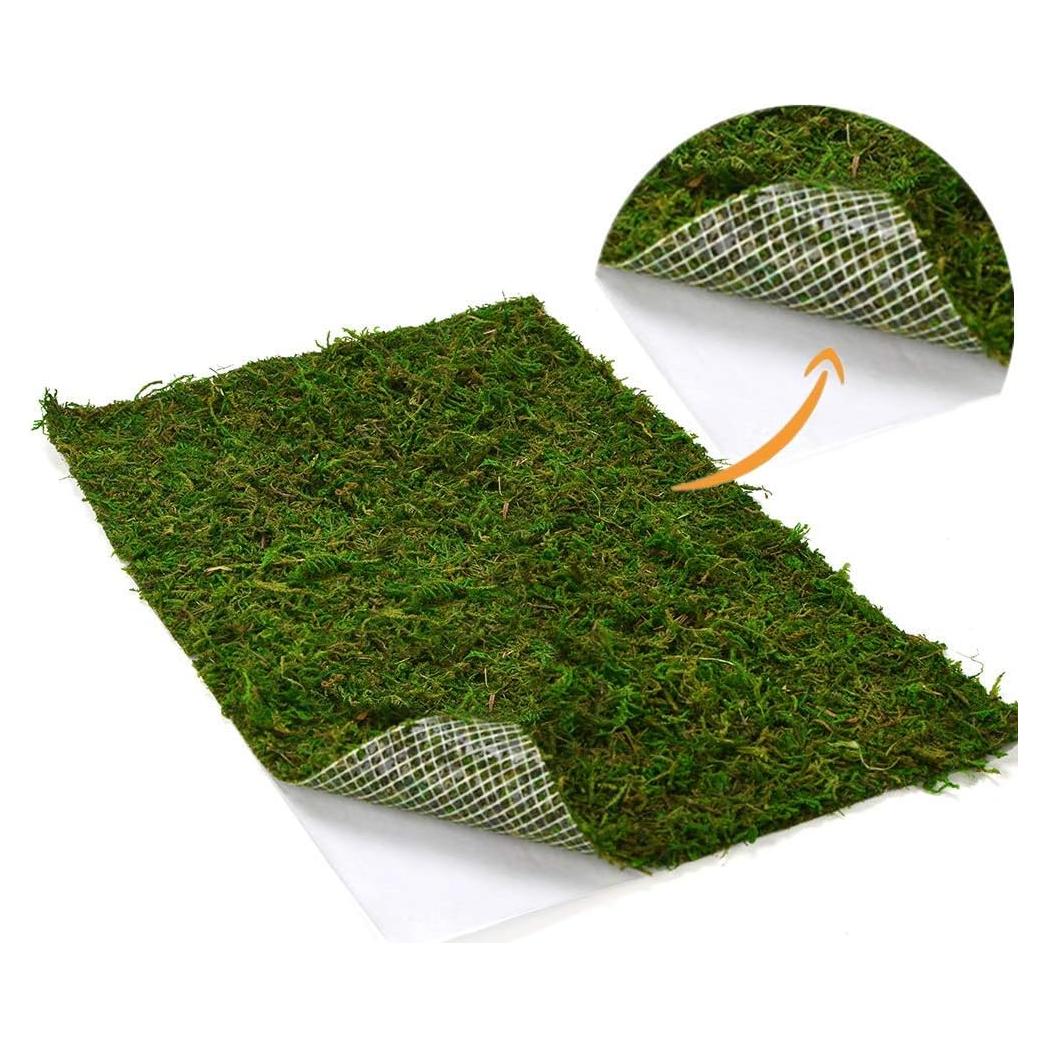 Alfombra de Musgo Seco BYHER Verde 35 x 23 cm para Decoración