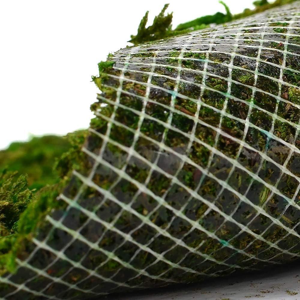 Alfombra de Musgo Seco BYHER Verde 35 x 23 cm para Decoración