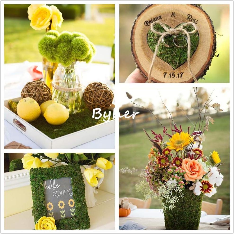 Alfombra de Musgo Seco BYHER Verde 35 x 23 cm para Decoración