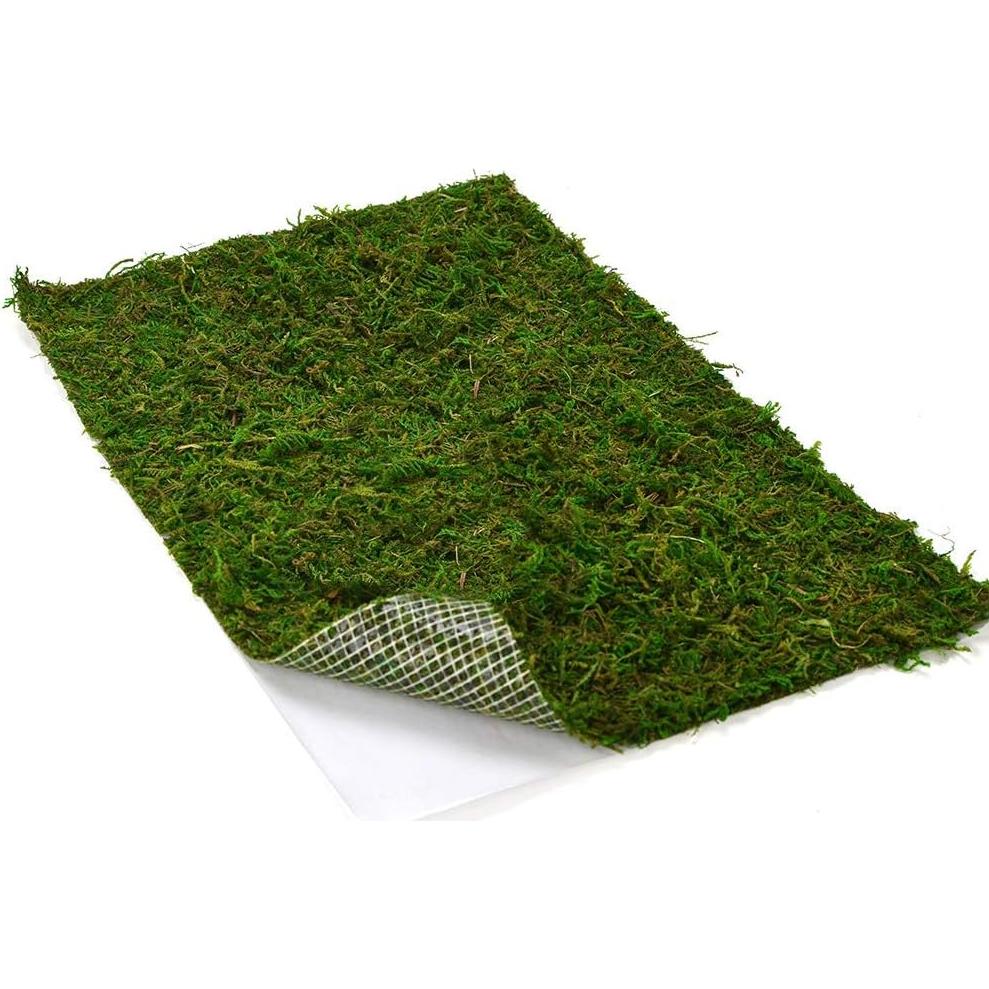 Alfombra de Musgo Seco BYHER Verde 35 x 23 cm para Decoración