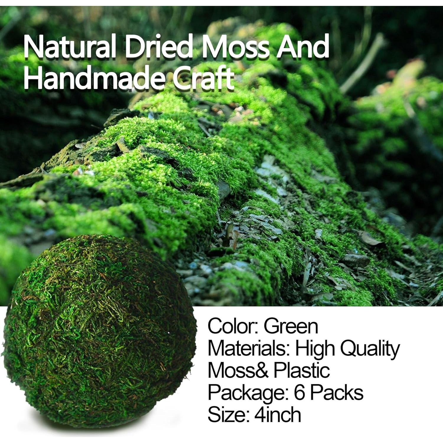 Bolas de Musgo Verde Qingbei Rina - Juego de 6 (10 cm)