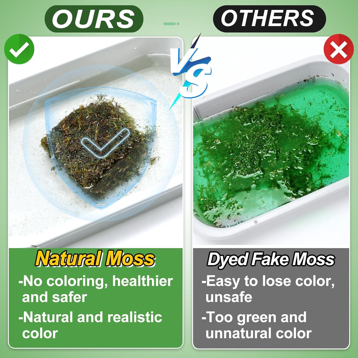 Musgo Natural Seco Alphatool 10oz para Manualidades y Jardines