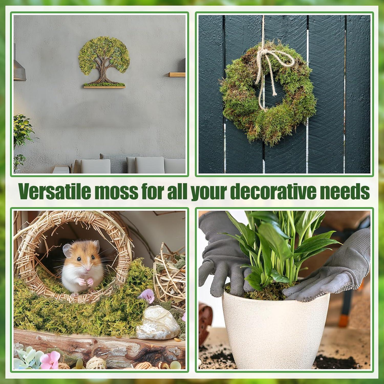 Musgo Natural Seco Alphatool 10oz para Manualidades y Jardines