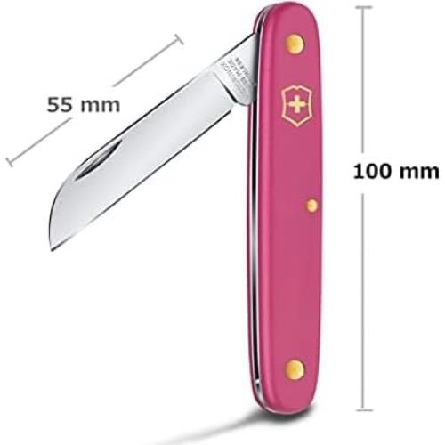 Cuchillo Floral Victorinox 100mm Acero Inoxidable Azul Hielo