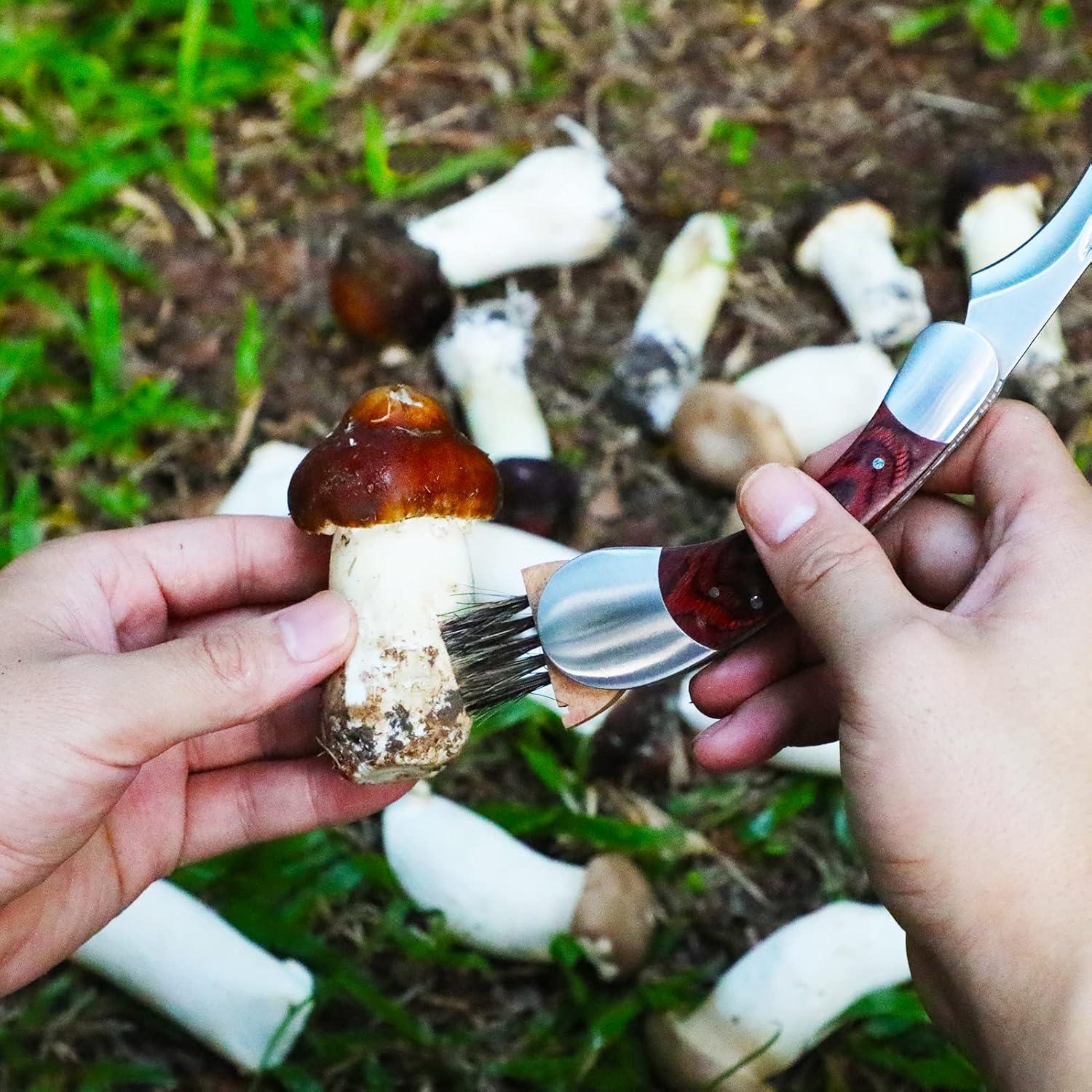 Cuchillo Plegable para Setas Coowolf con Cepillo y Funda