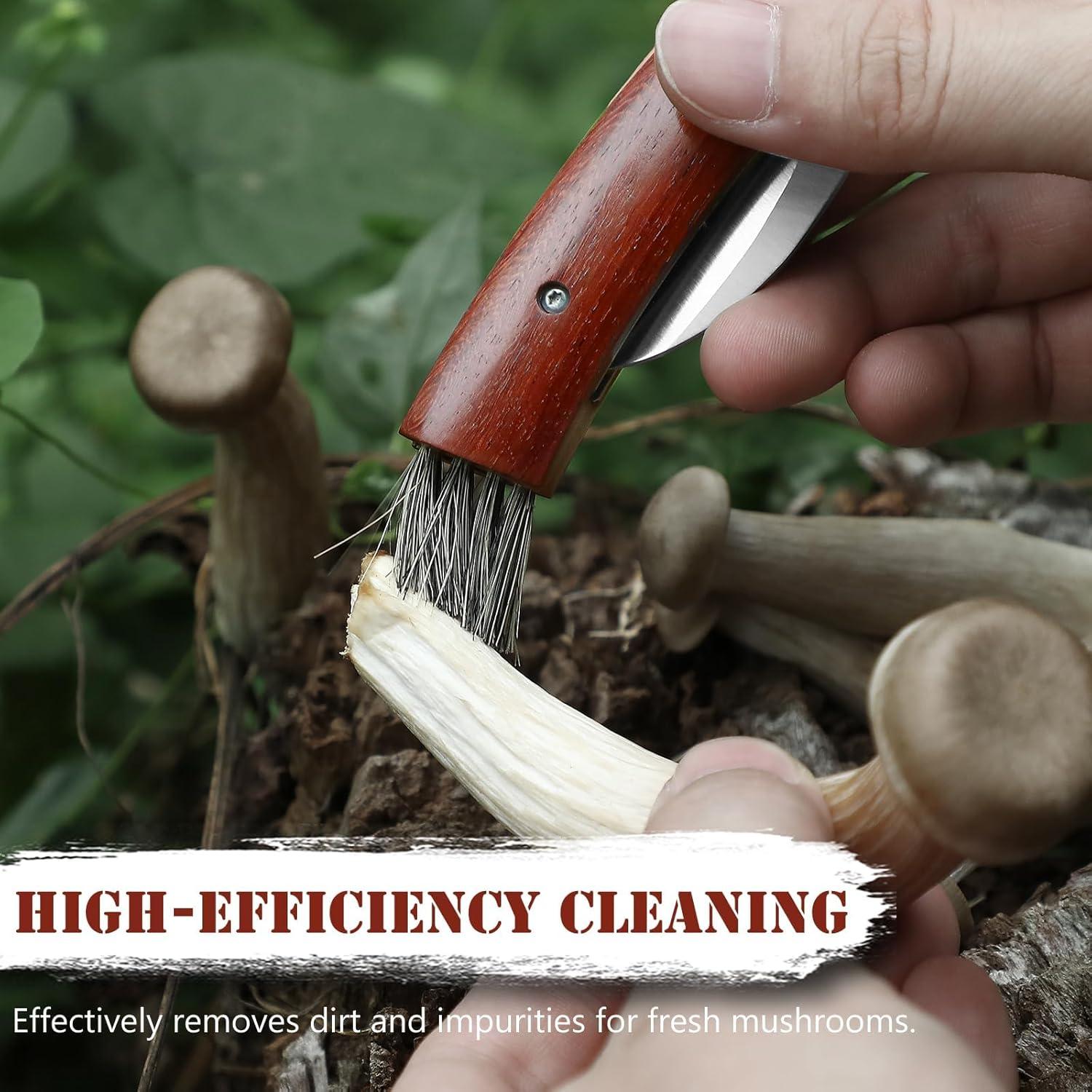 Cuchillo Plegable de Champiñones DRACHENADER N-1 con Cepillo