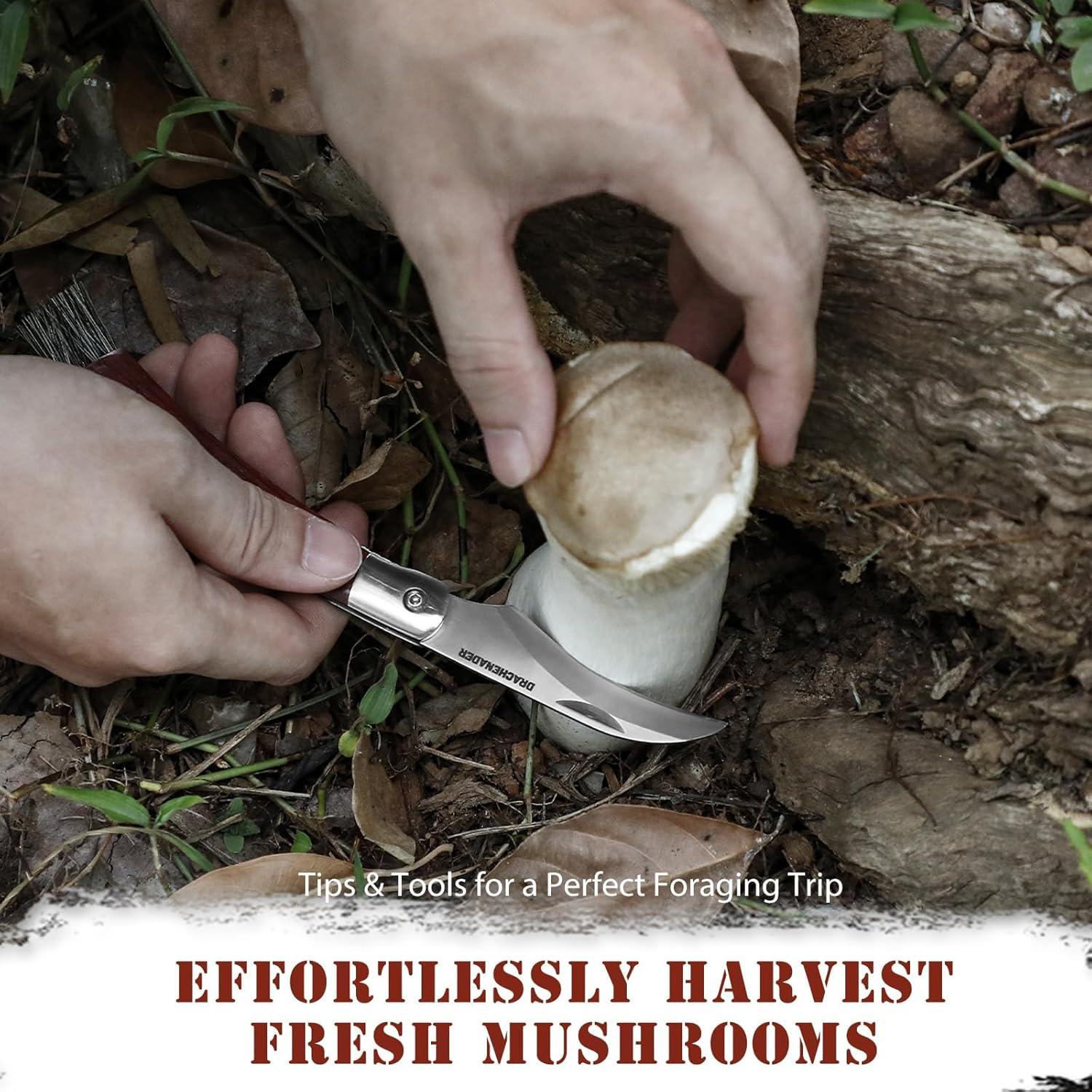 Cuchillo Plegable de Champiñones DRACHENADER N-1 con Cepillo