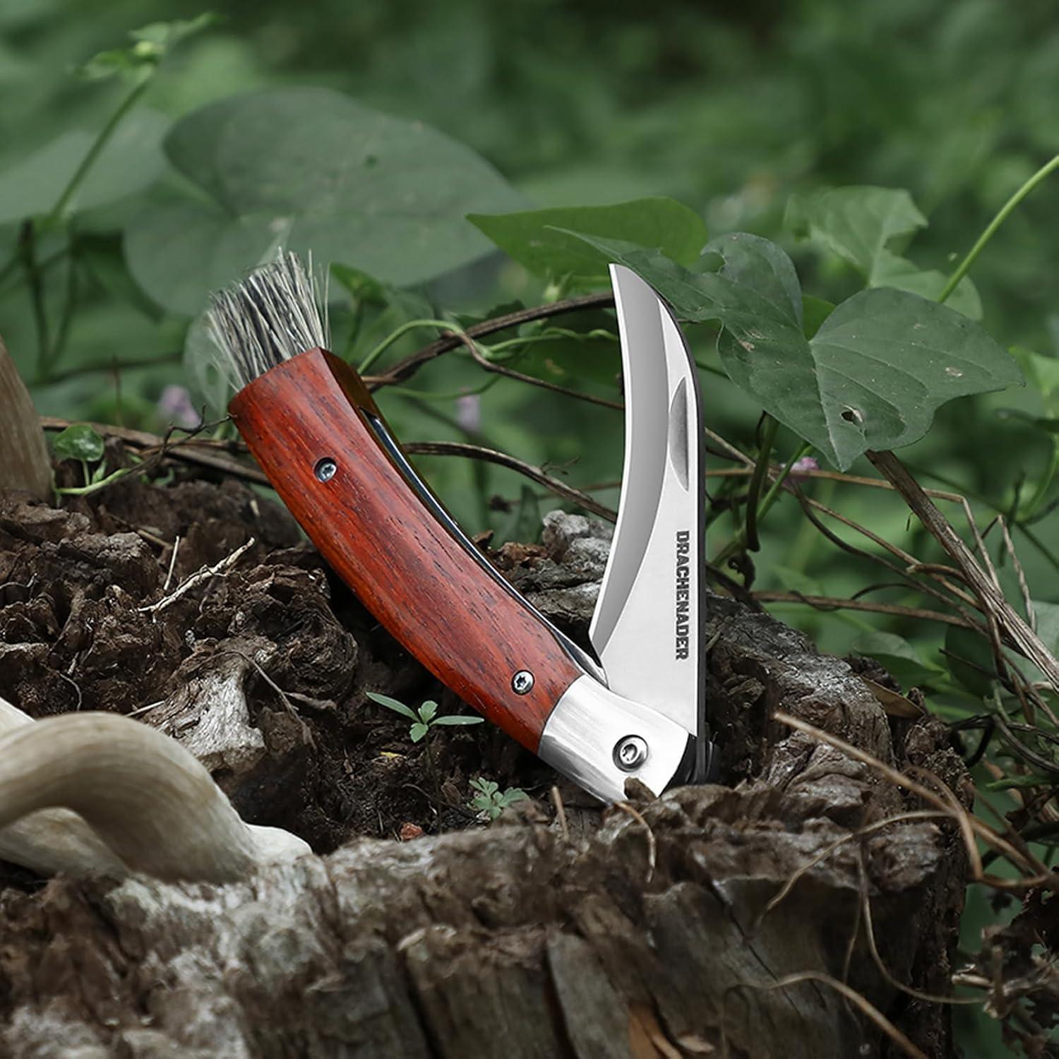 Cuchillo Plegable de Champiñones DRACHENADER N-1 con Cepillo