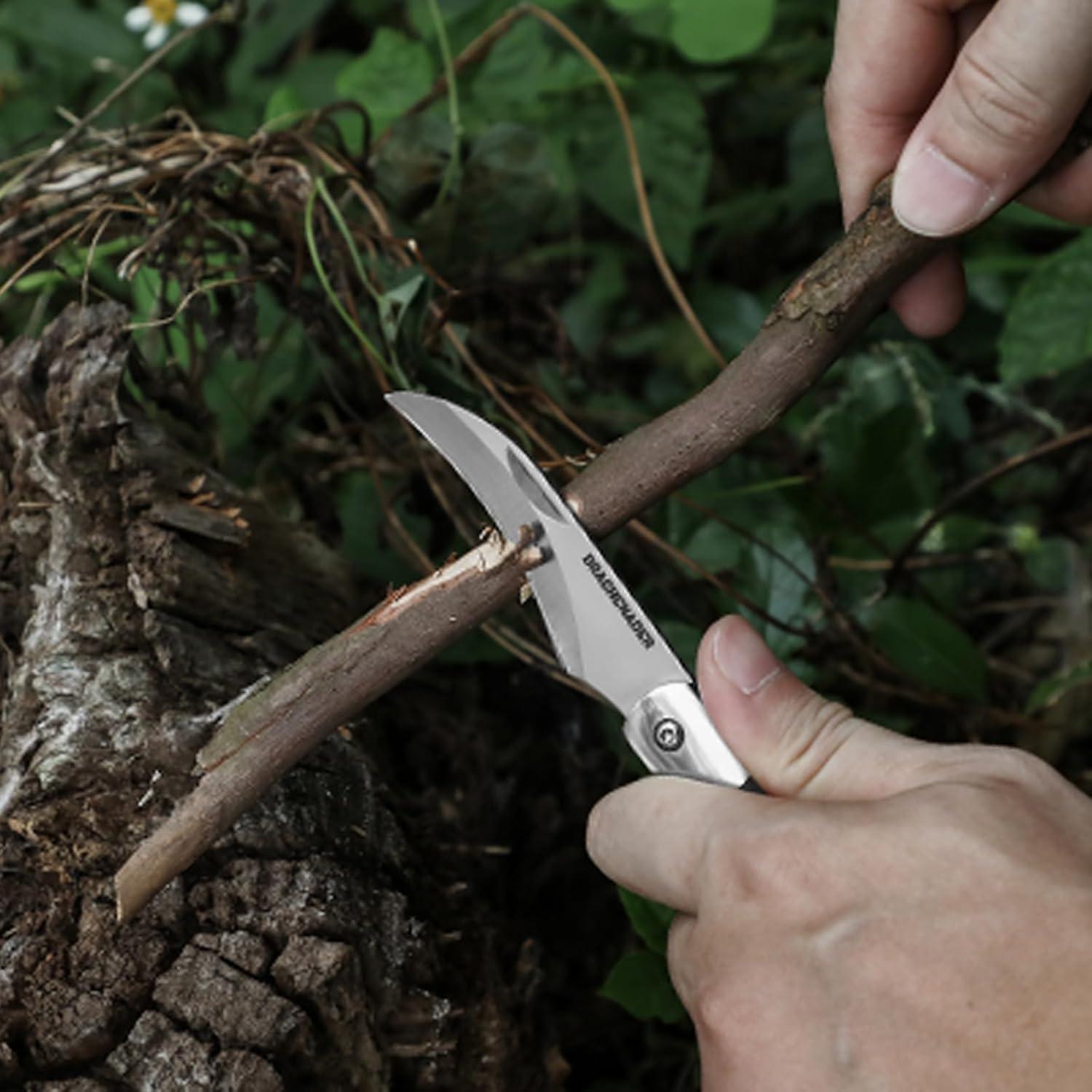 Cuchillo Plegable de Champiñones DRACHENADER N-1 con Cepillo