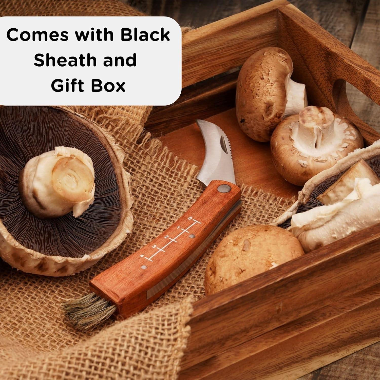 Cuchillo Plegable para Setas Wrenbury - Hoja 7.5 cm Acero Inoxidable