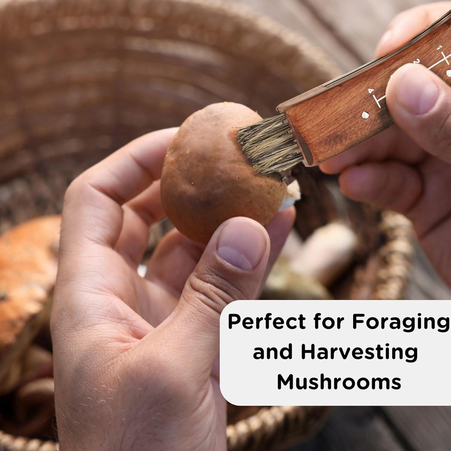 Cuchillo Plegable para Setas Wrenbury - Hoja 7.5 cm Acero Inoxidable