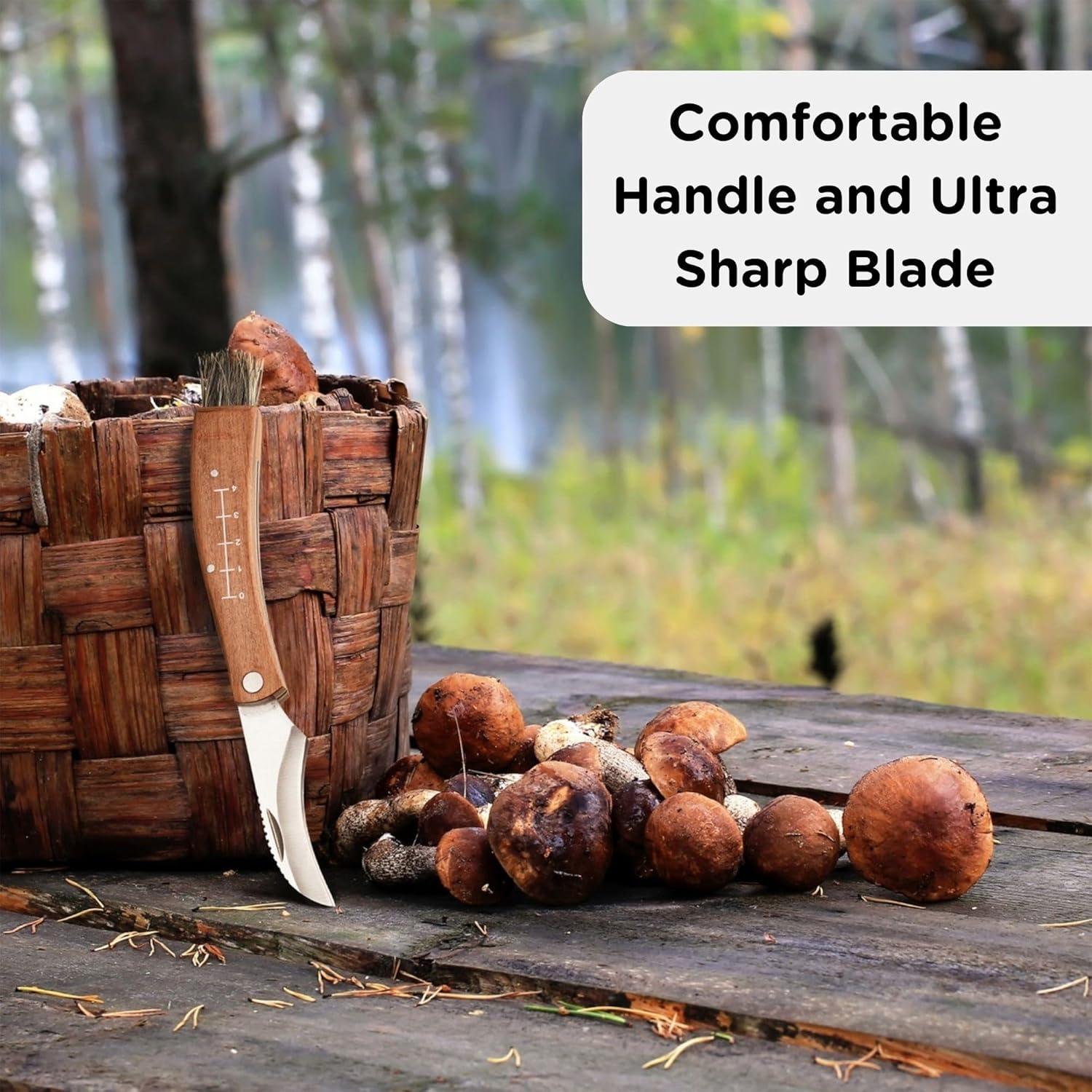 Cuchillo Plegable para Setas Wrenbury - Hoja 7.5 cm Acero Inoxidable