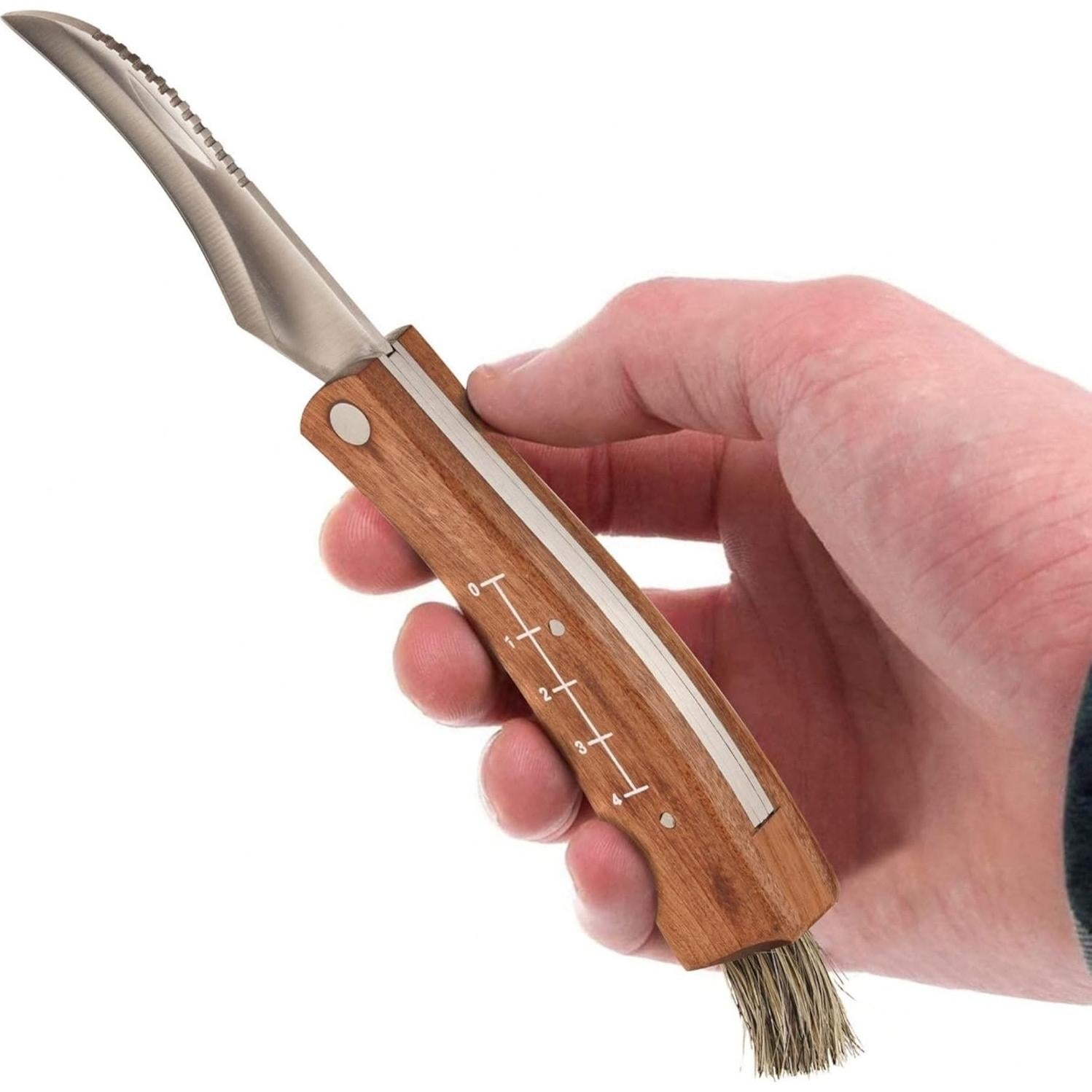 Cuchillo Plegable para Setas Wrenbury - Hoja 7.5 cm Acero Inoxidable