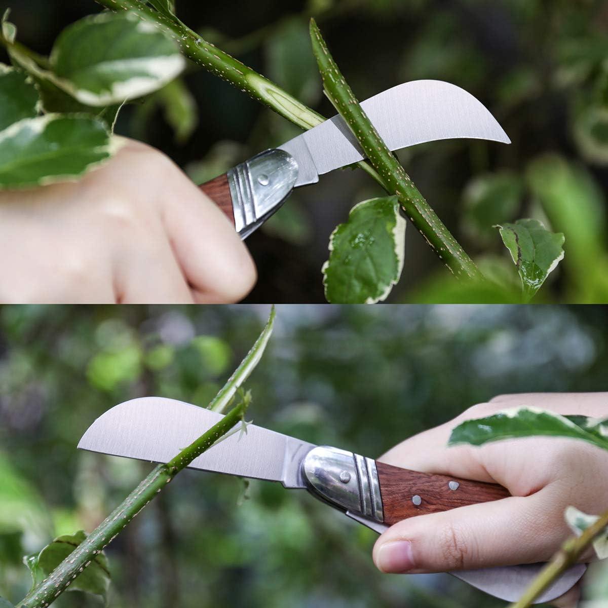 Cuchillo de Injerto Linsen-Outdoors 6.35 cm Acero Inoxidable