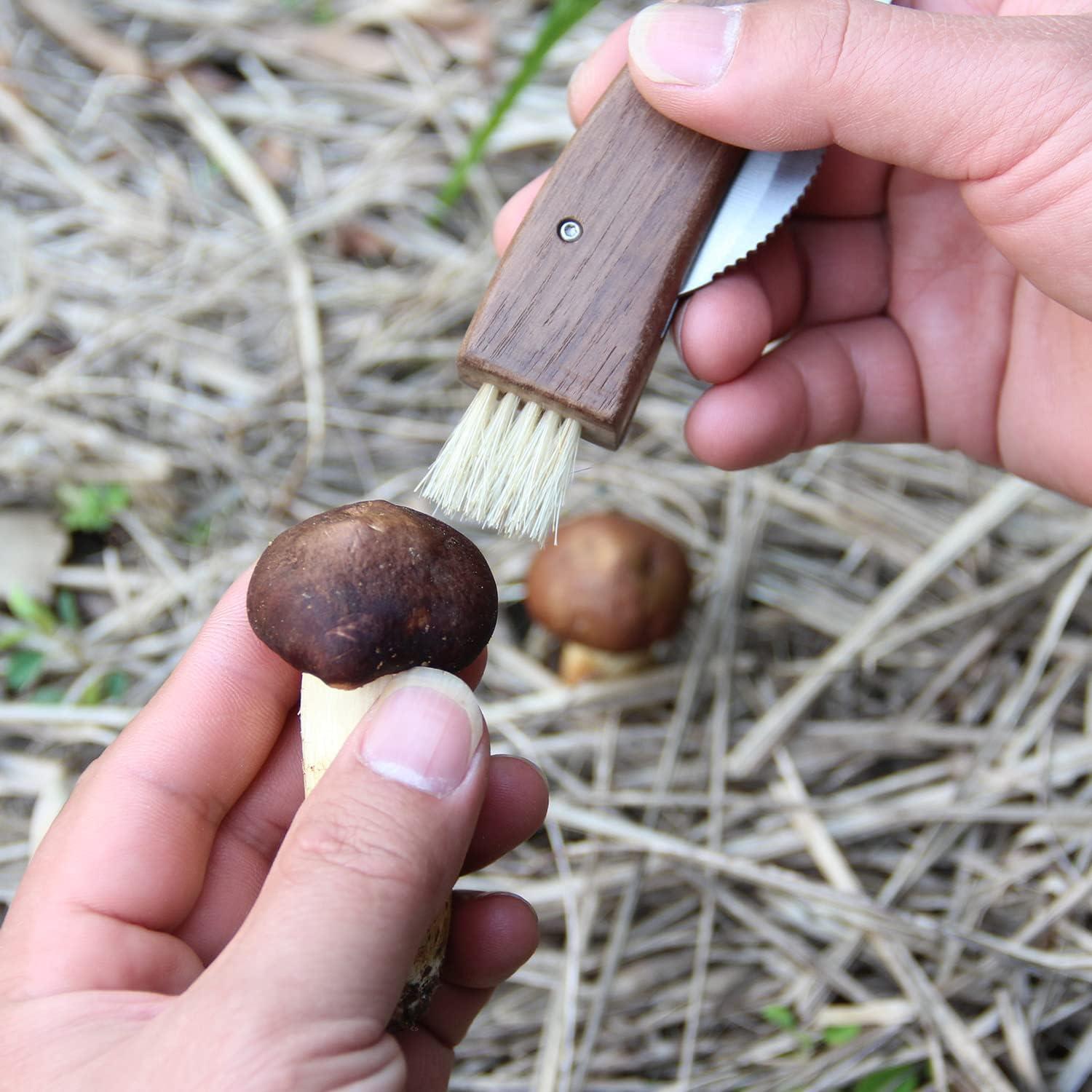 Cuchillo de Champiñón Plegable HANZIUP con Cepillo y Funda