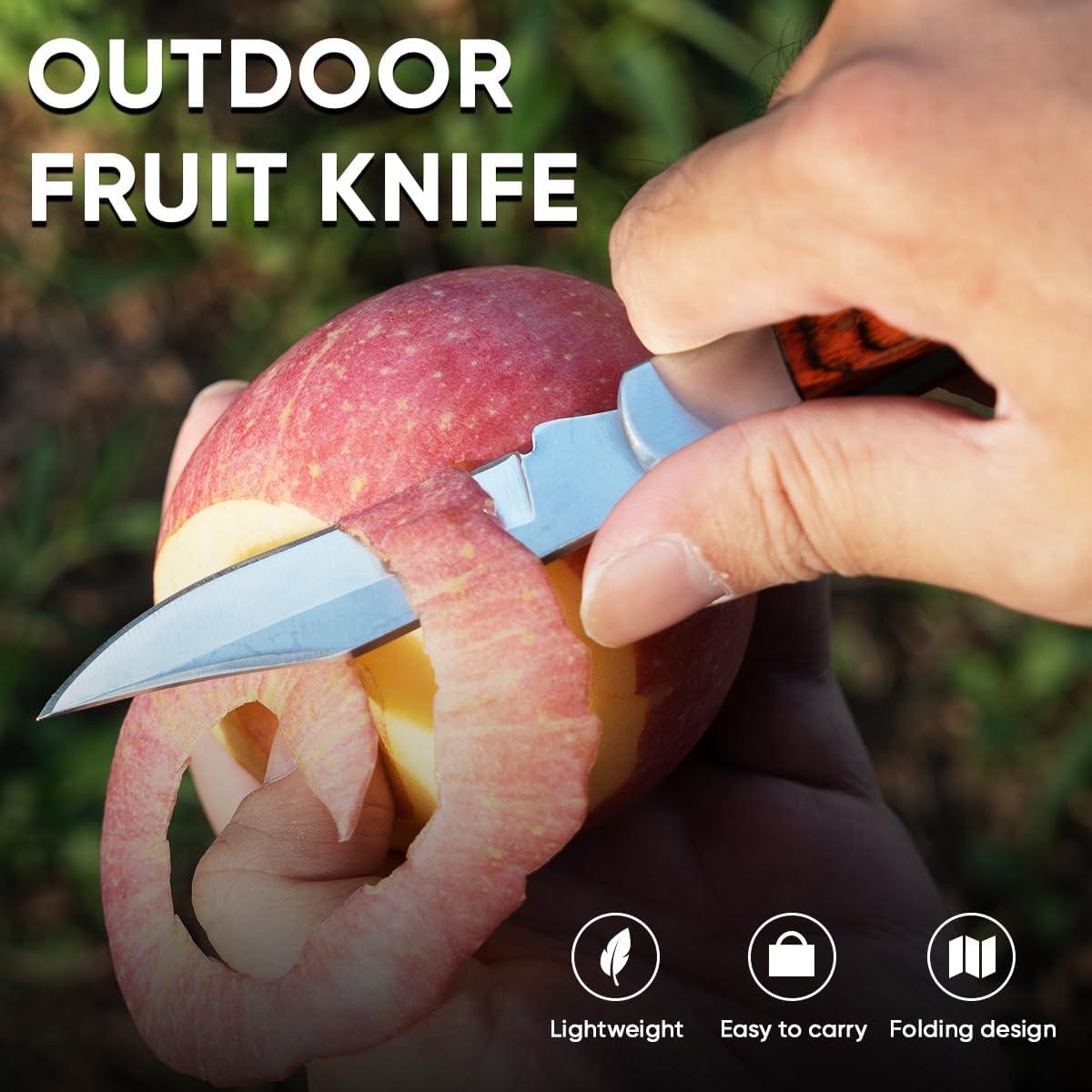 Cuchillo de bolsillo 10MOONS 16.5 cm acero inoxidable EDC