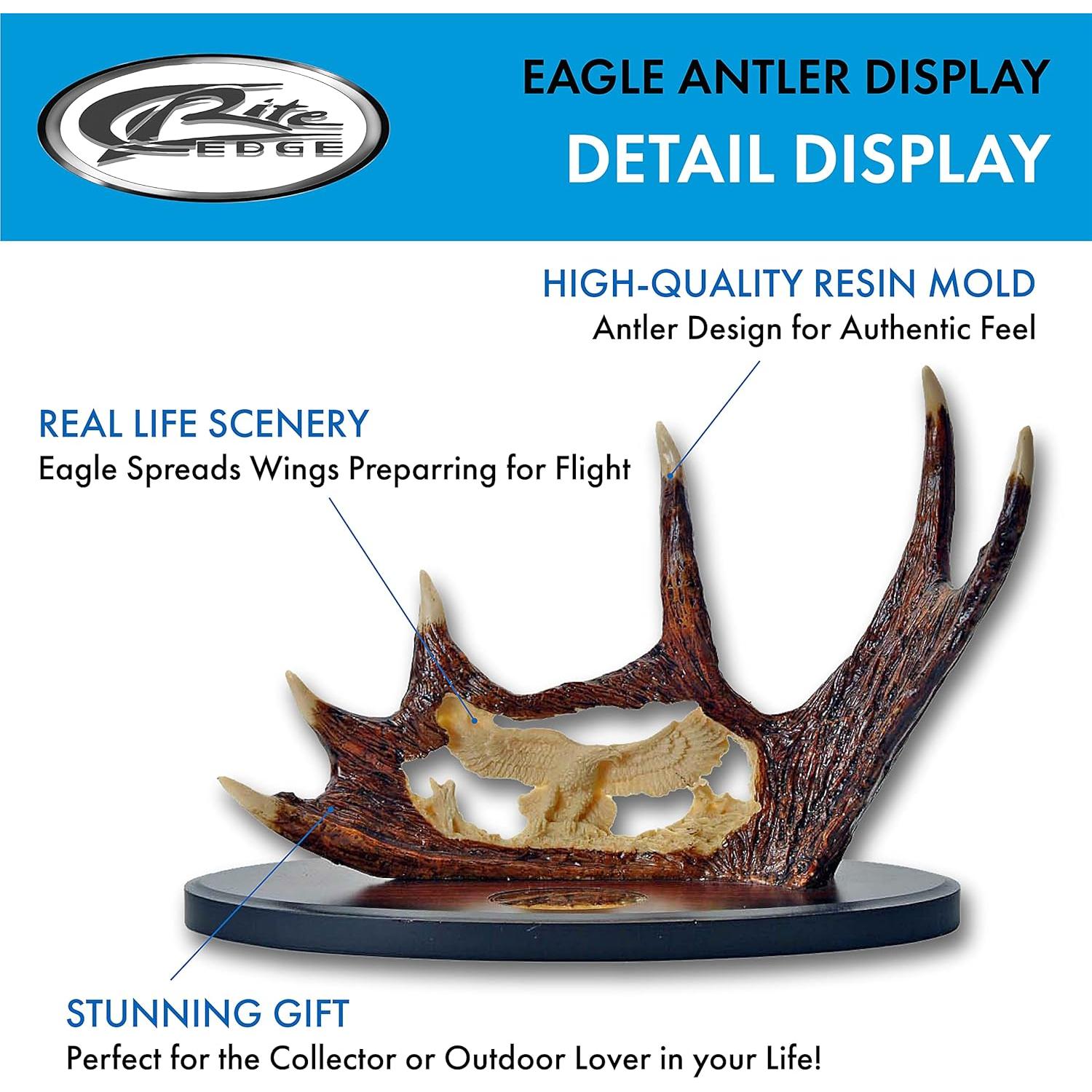 Cuchillo de Exhibición SZCO 211165-DE con Mango de Asta 38.1 cm