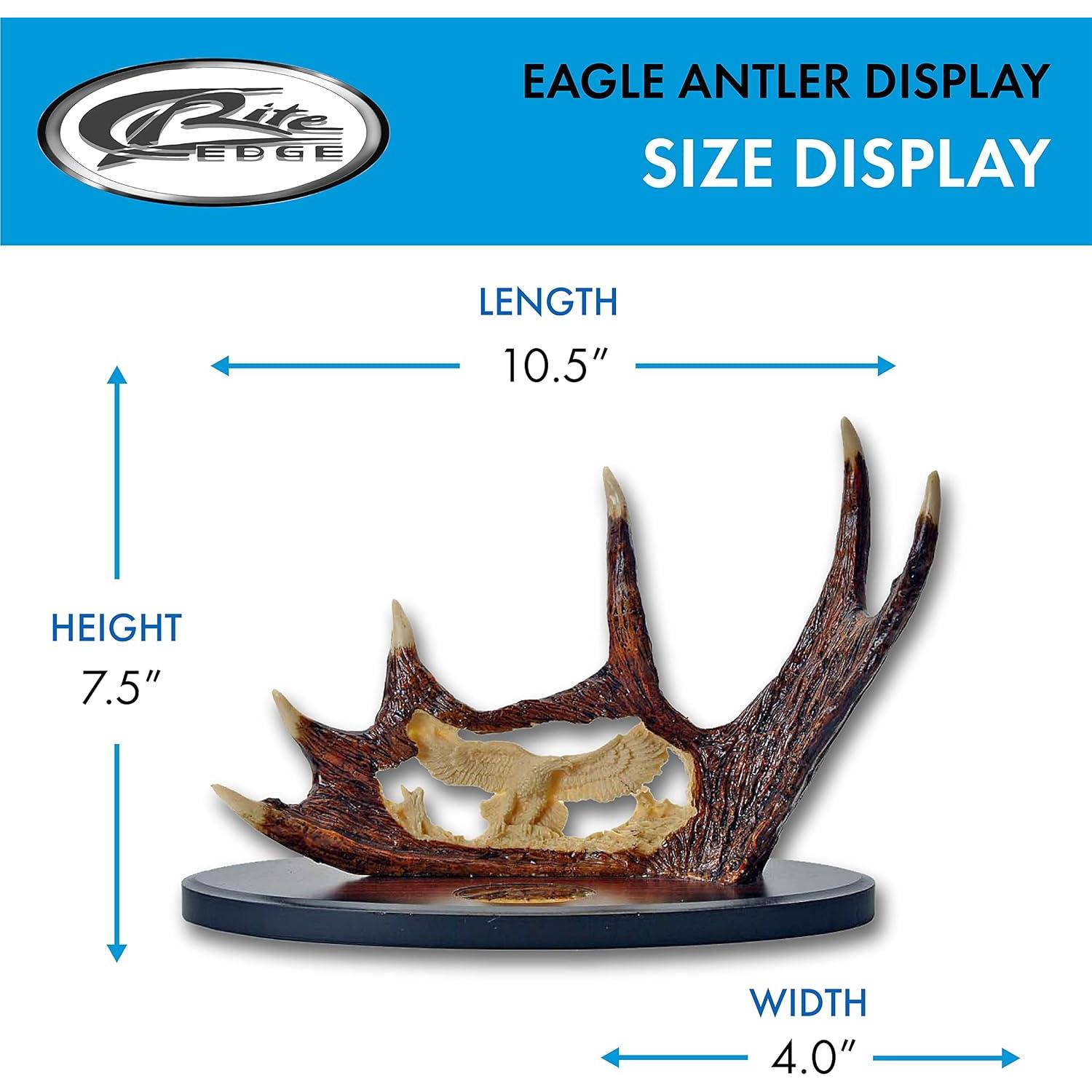 Cuchillo de Exhibición SZCO 211165-DE con Mango de Asta 38.1 cm
