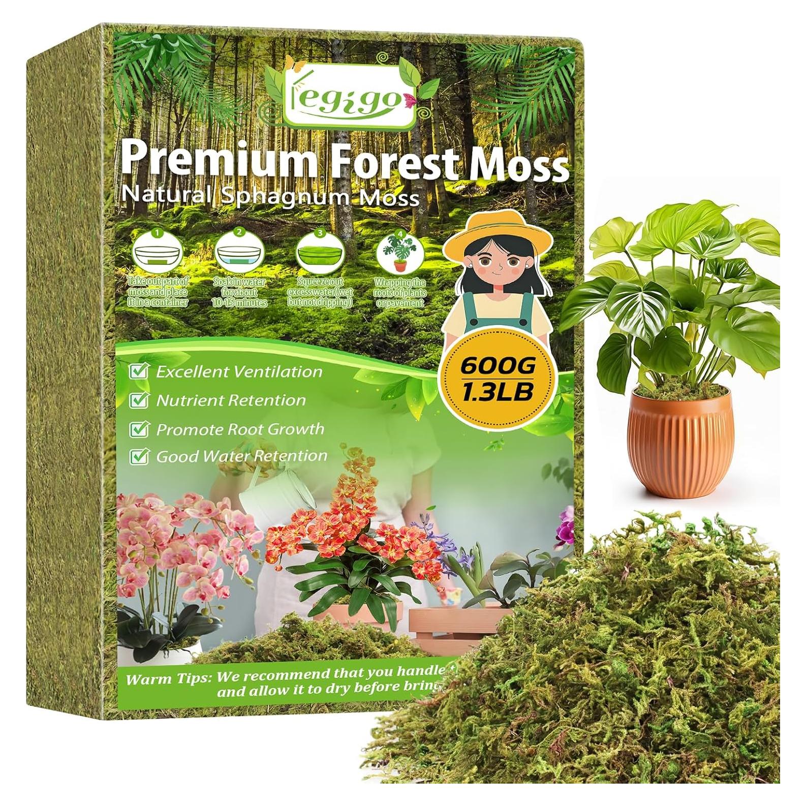 Musgo Verde Natural Legigo 0.59 kg para Manualidades y Decoración