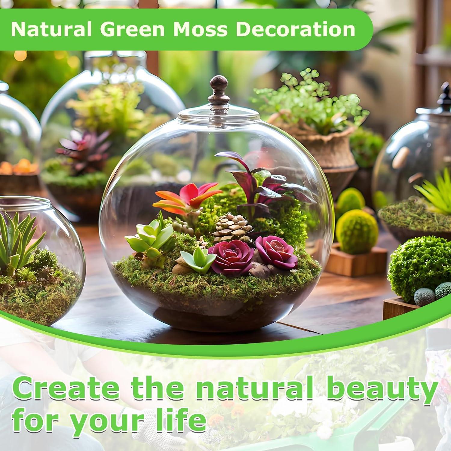 Musgo Verde Natural Legigo 0.59 kg para Manualidades y Decoración