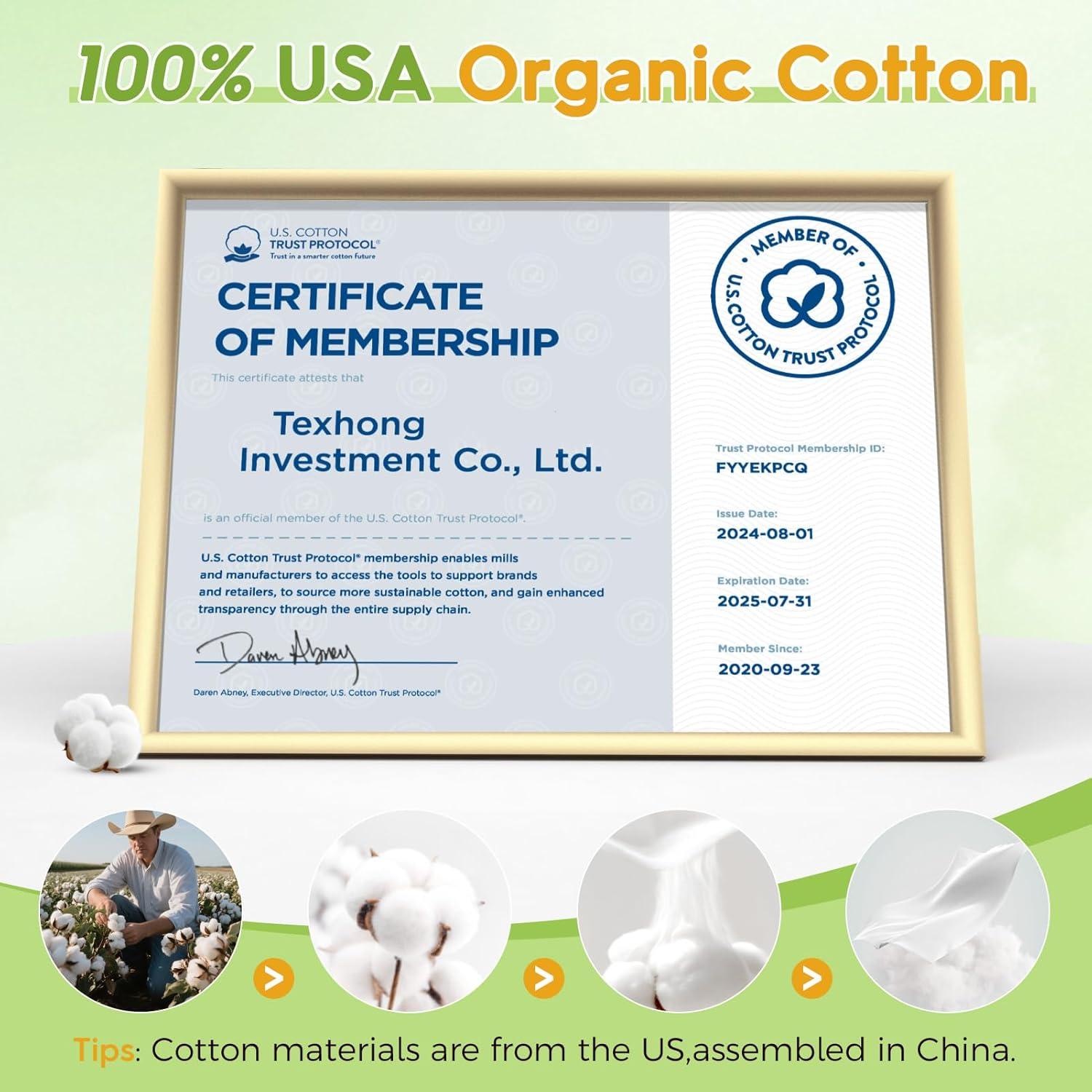 Toallas Comprimidas Classycoo - 100% Algodón Orgánico Verde