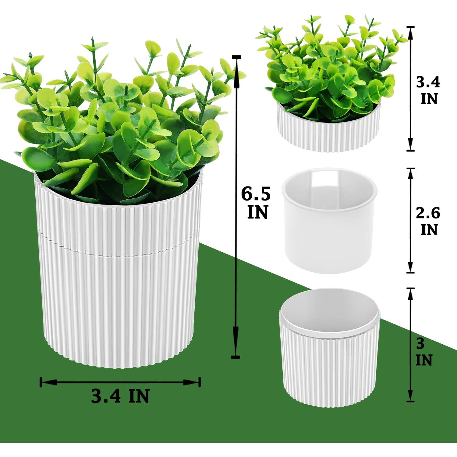 Estuche para Dentaduras YCROJBK con Diseño de Eucalipto 9.4x16.5cm