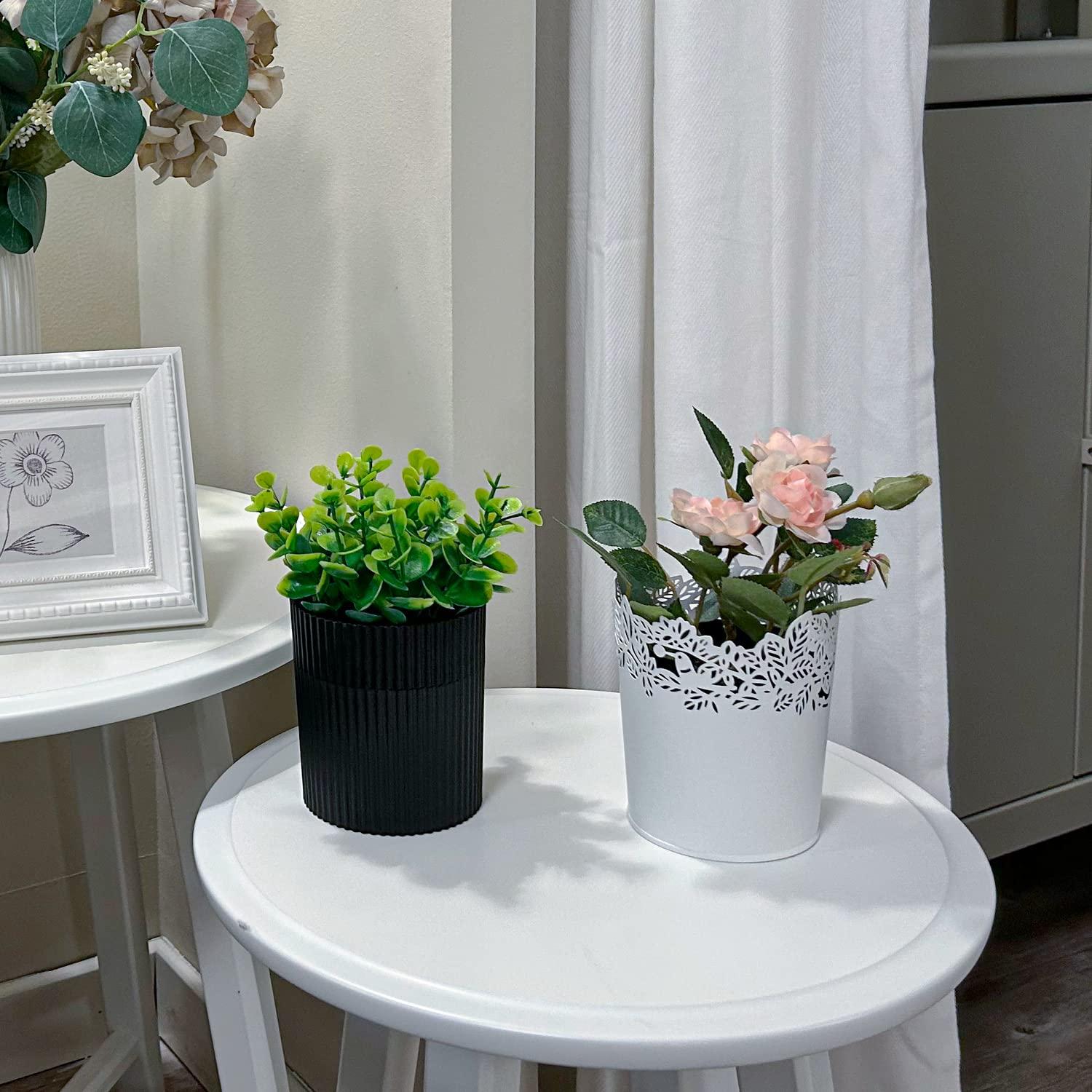 Estuche para Dentaduras YCROJBK con Diseño de Eucalipto 9.4x16.5cm