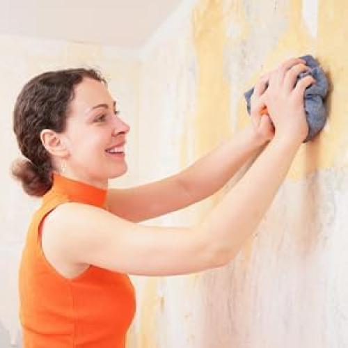 Paño de Limpieza de Ventanas Longmann Microfibra 45x45cm