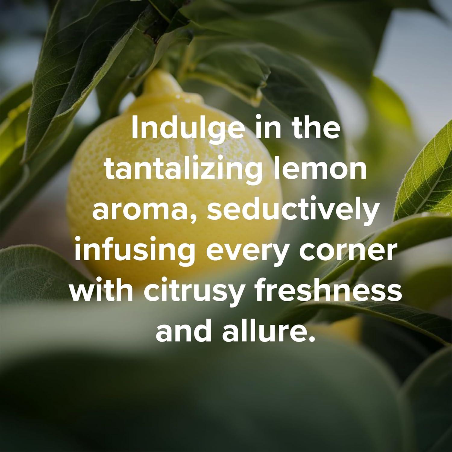 Tabletas de limpieza multi superficie Gren, 5 unidades, ecológicas