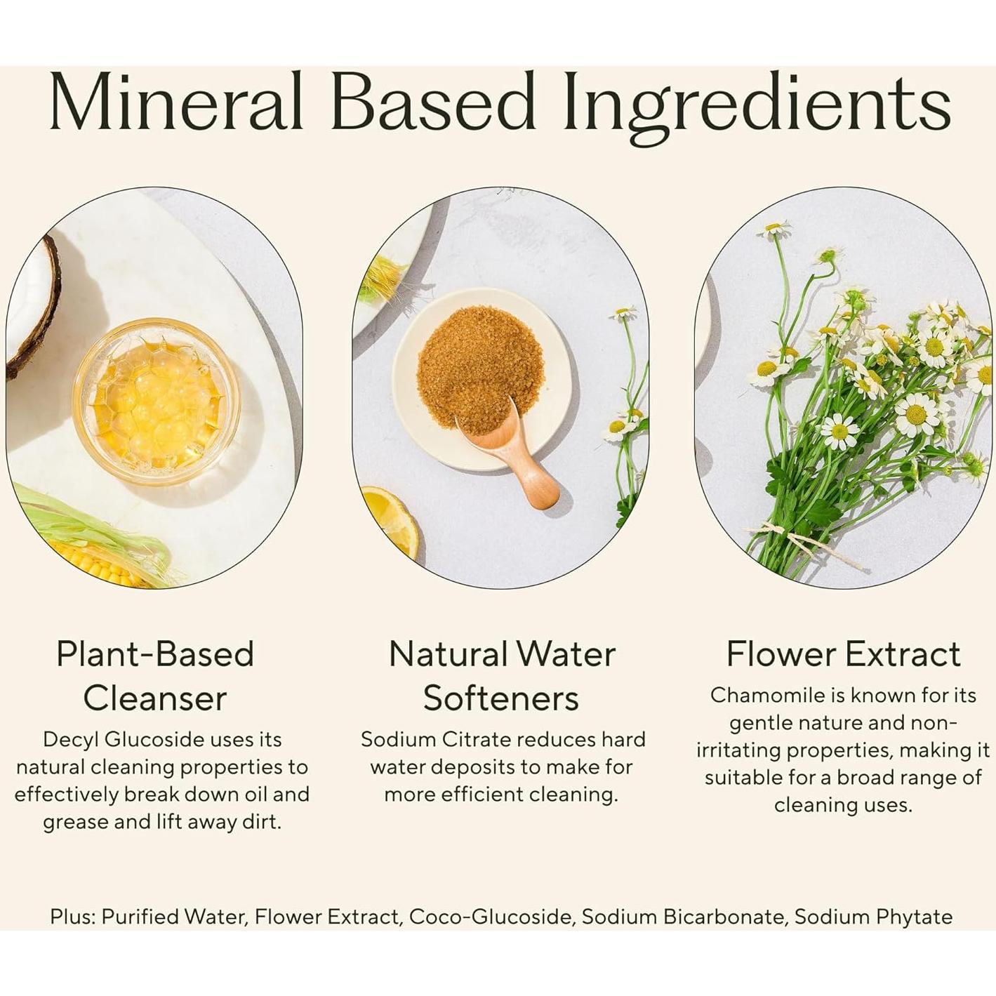 Recarga Concentrado Branch Basics 1L Limpiador Multiusos Sin Fragancia