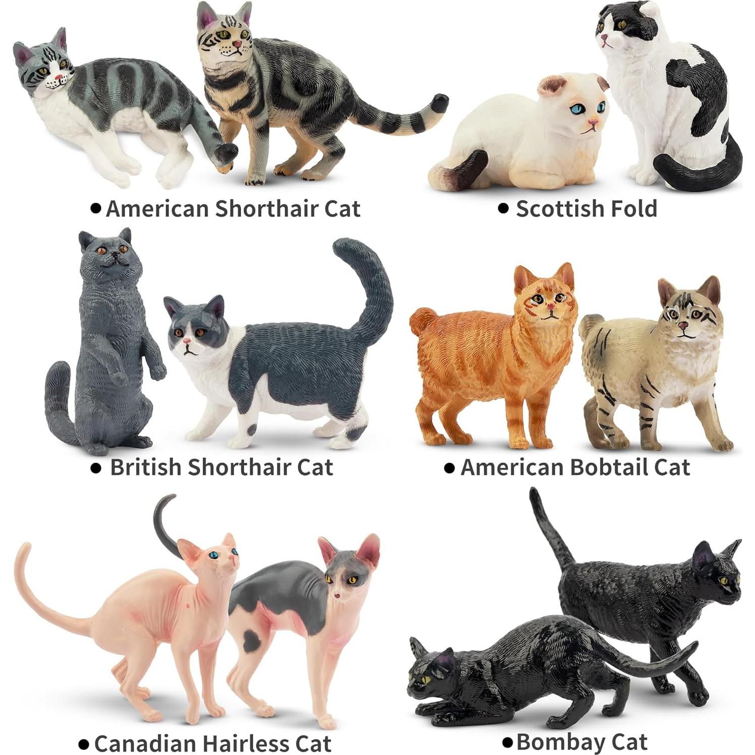 12 Figuras de Gato EYSCOTA Juguetes Realistas 3-8 cm