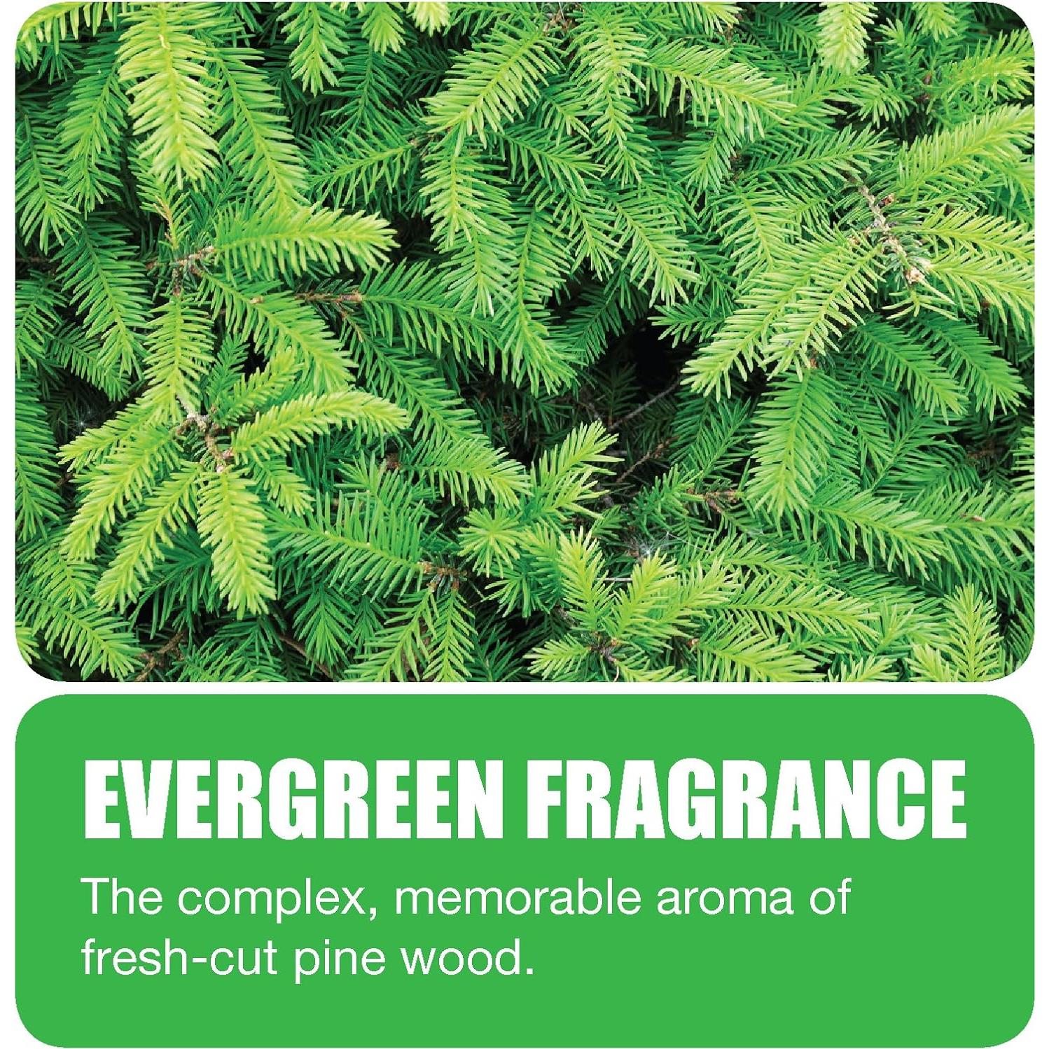 Bloque de Inodoro Big D 680 Menta - 12 Pastillas Ecológicas