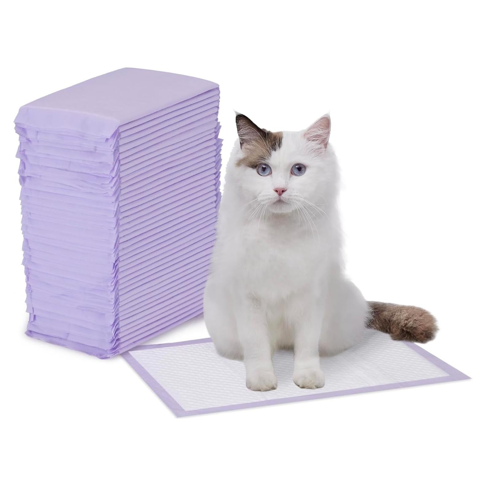 Almohadillas para Gatos Amazon Basics 40 Unidades Aroma Limón